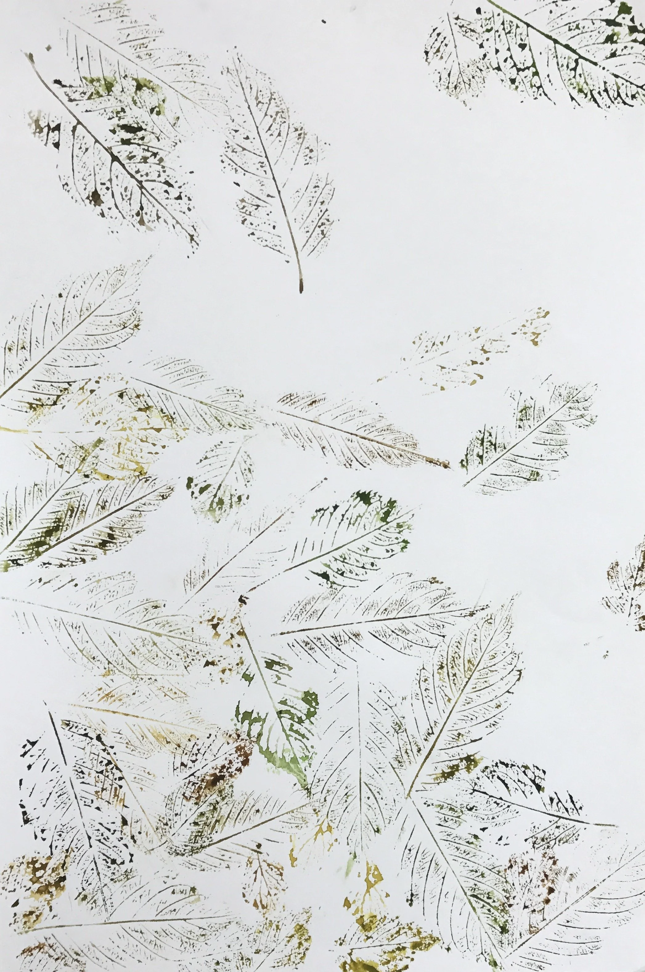 Leaf Print (Acrylic on Paper, 29.7 x 42 cm) 2016