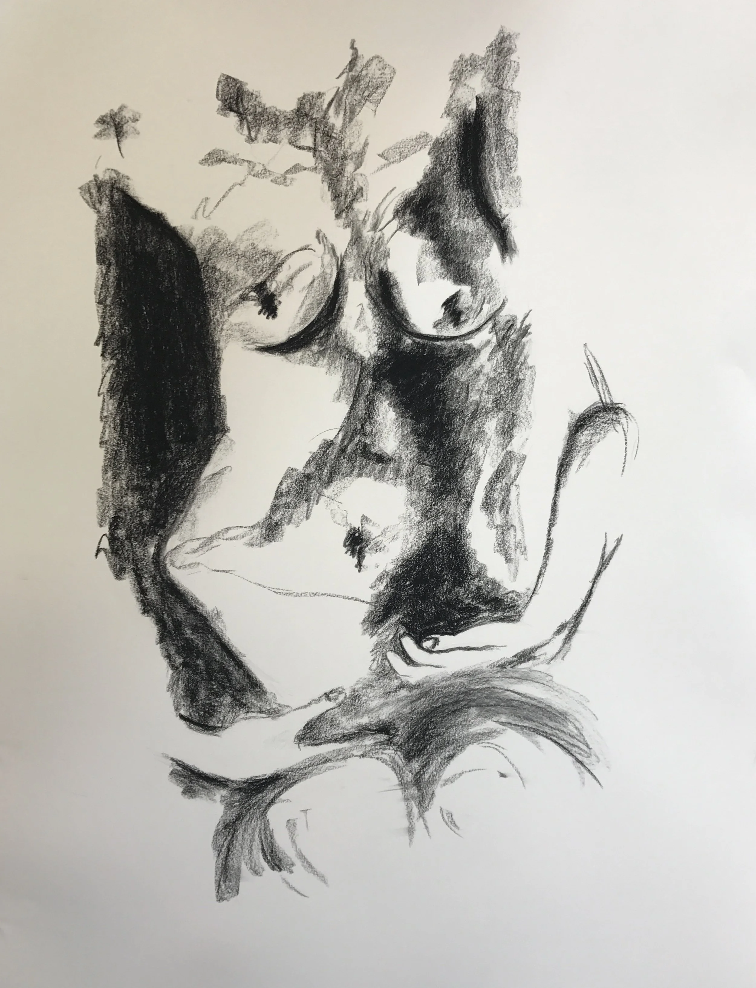 Rough Bod (Charcoal on Paper) 2017
