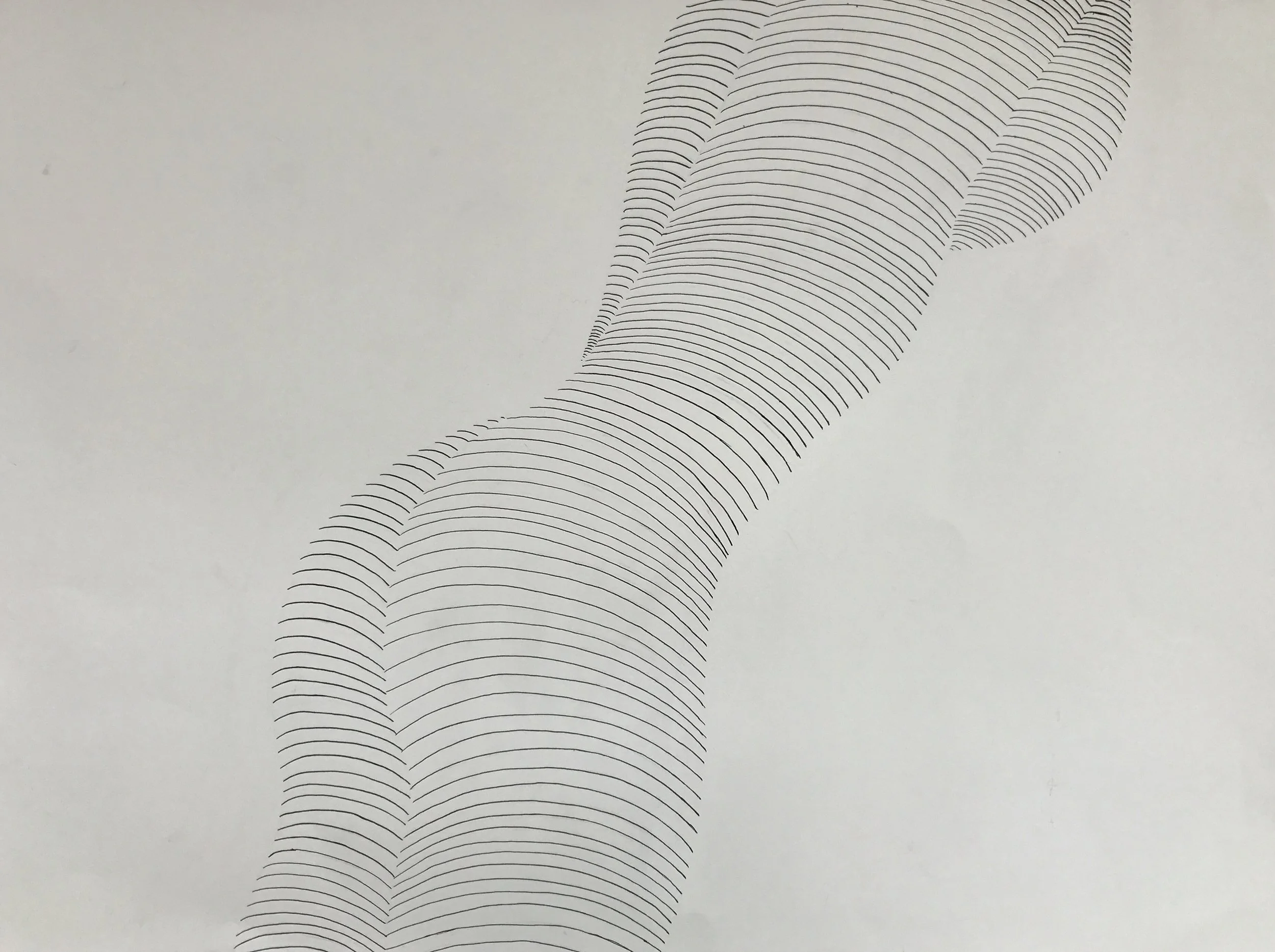 Side Bod (Ink on Paper) 2017