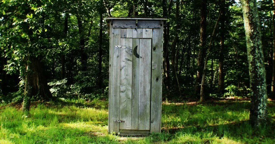 How to poop like a champion