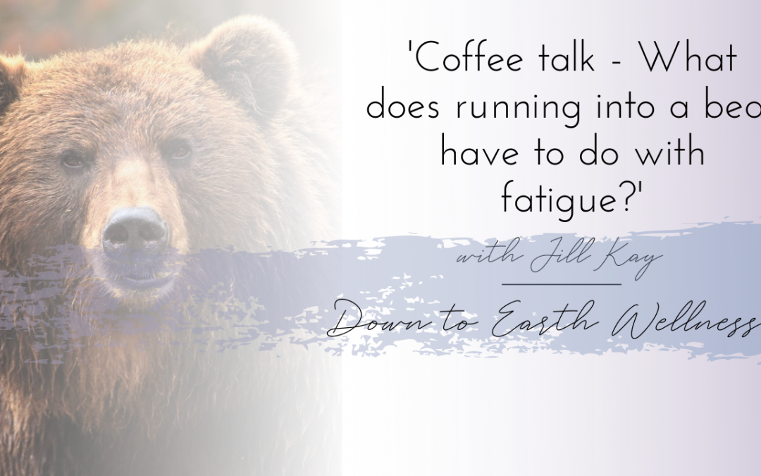 What does running into a bear have to do with fatigue?