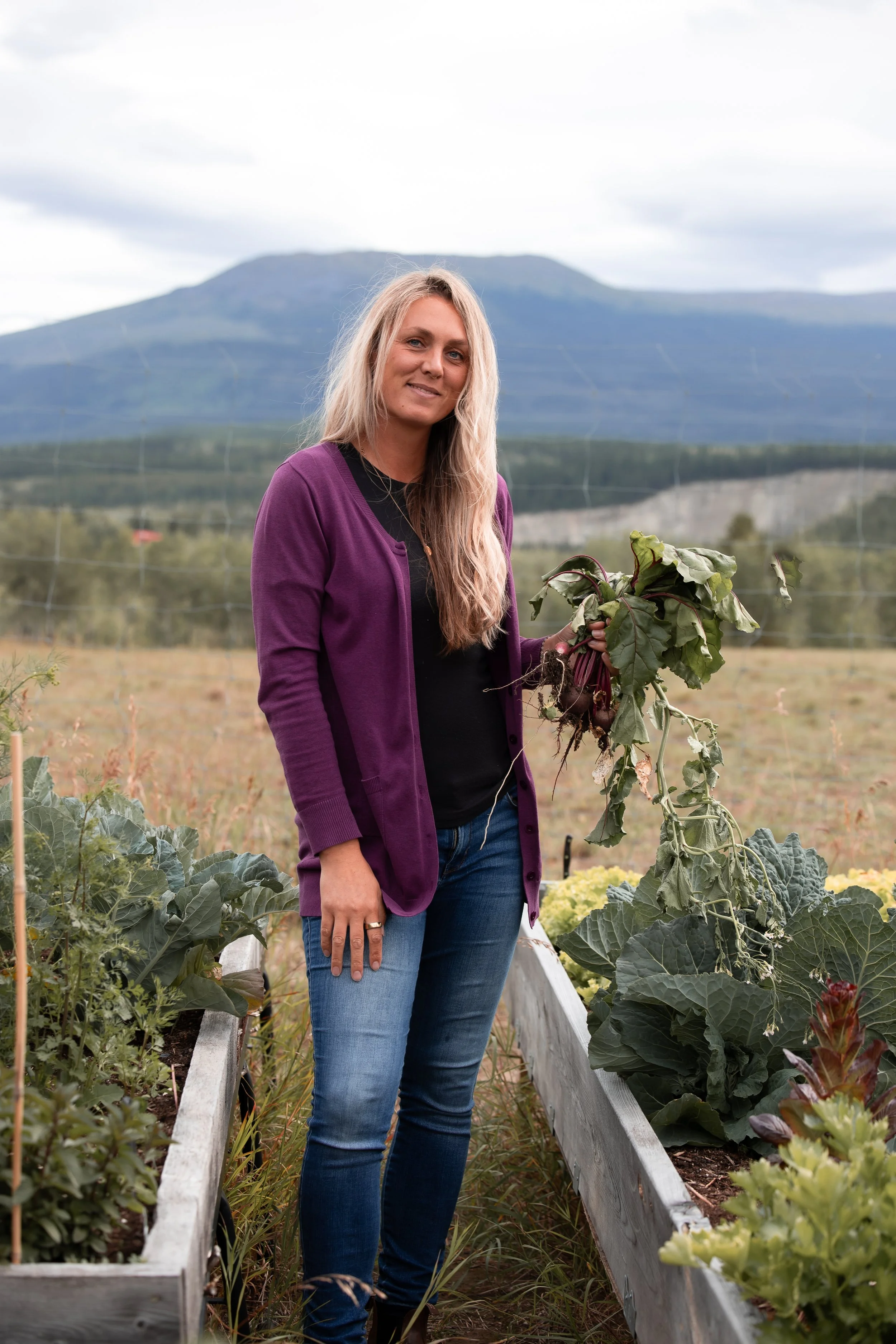 A woman with long blonde hair in a purple jacket and blue jeans standing in a garden with raised beds filled with leafy vegetables, holding a bunch of freshly harvested beets, with a mountain in the background under a cloudy sky.