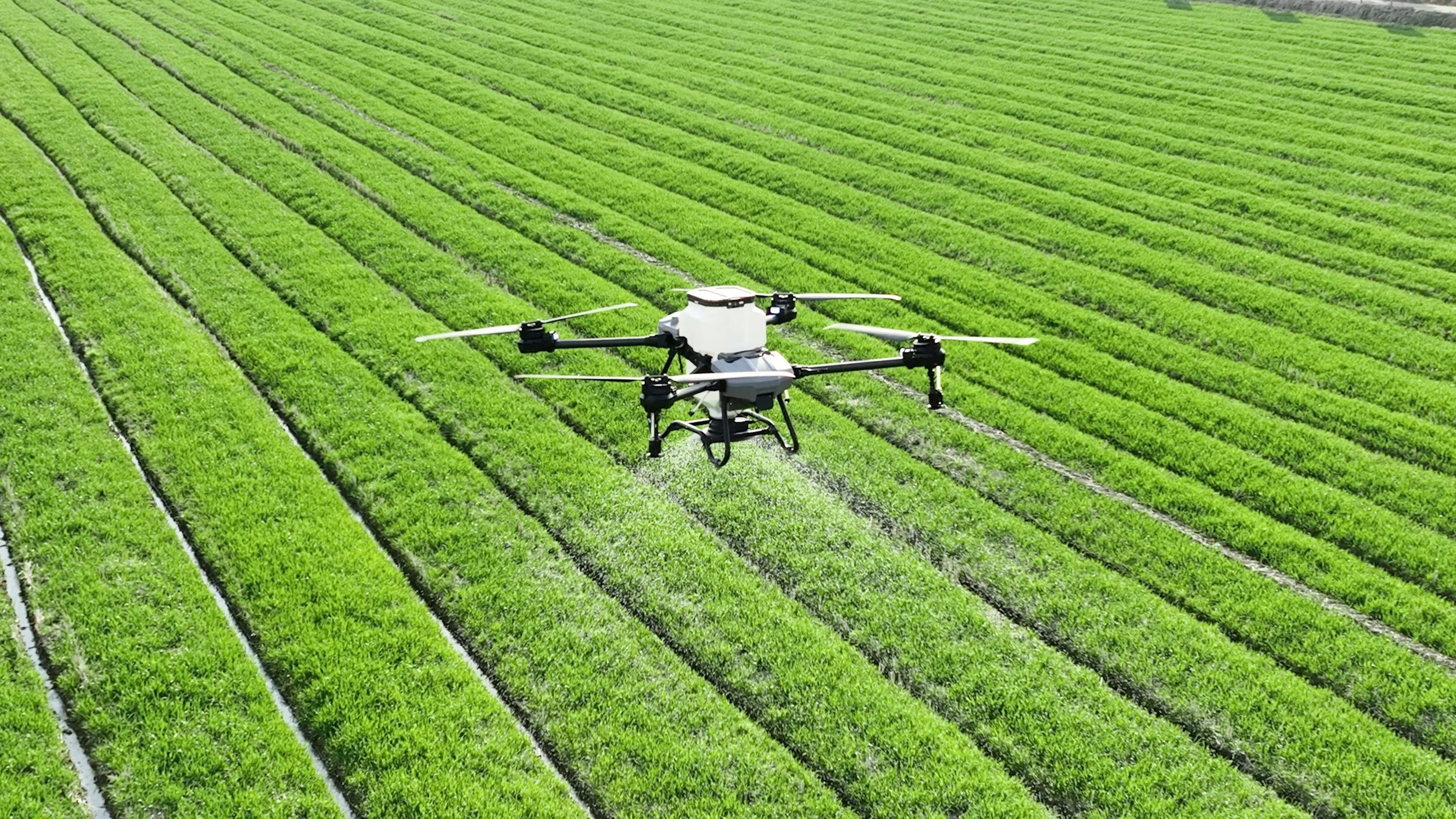 A drone flying over a large, green, cultivated crop field.