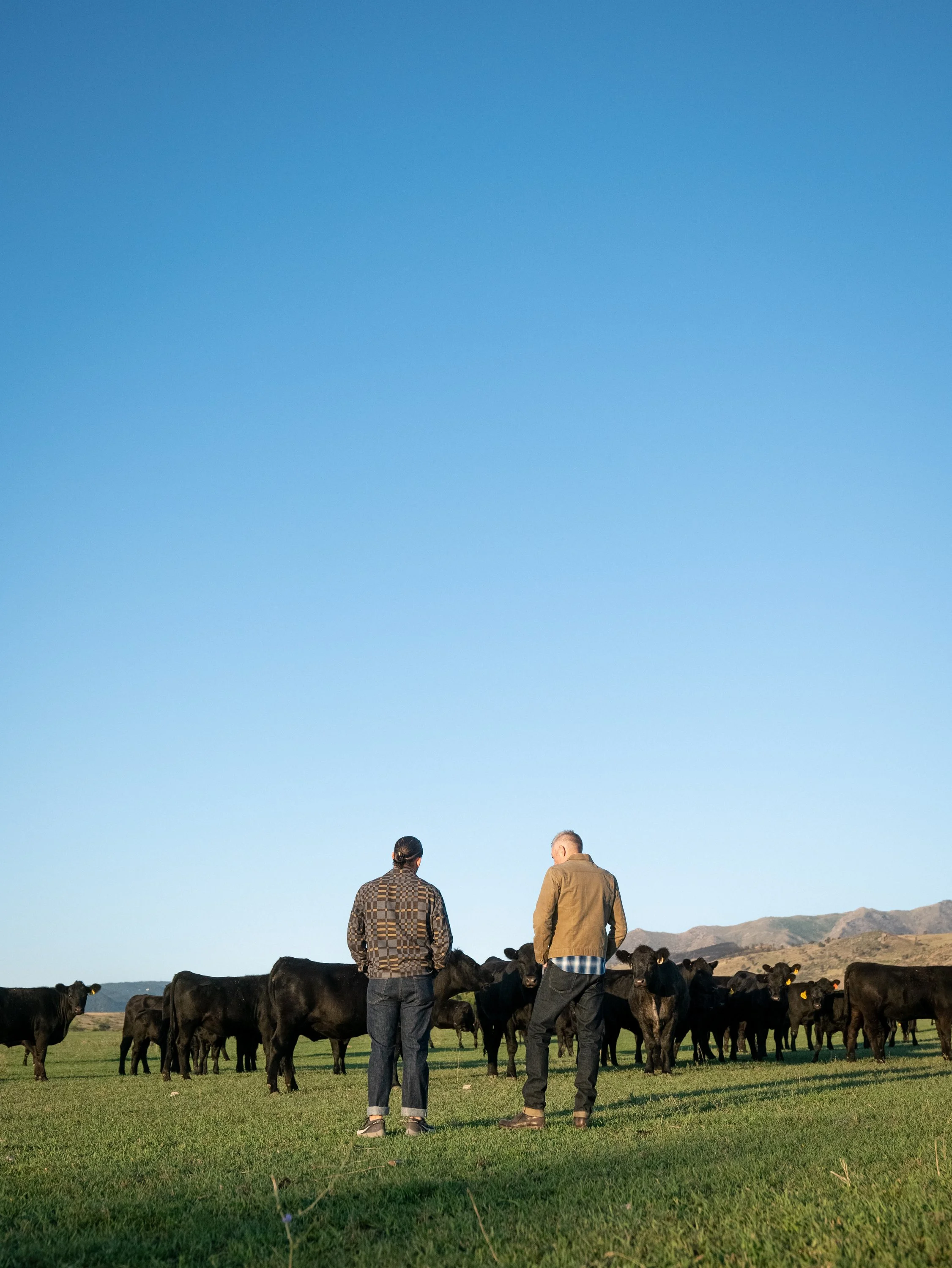 Corrida_Farm-18.jpg