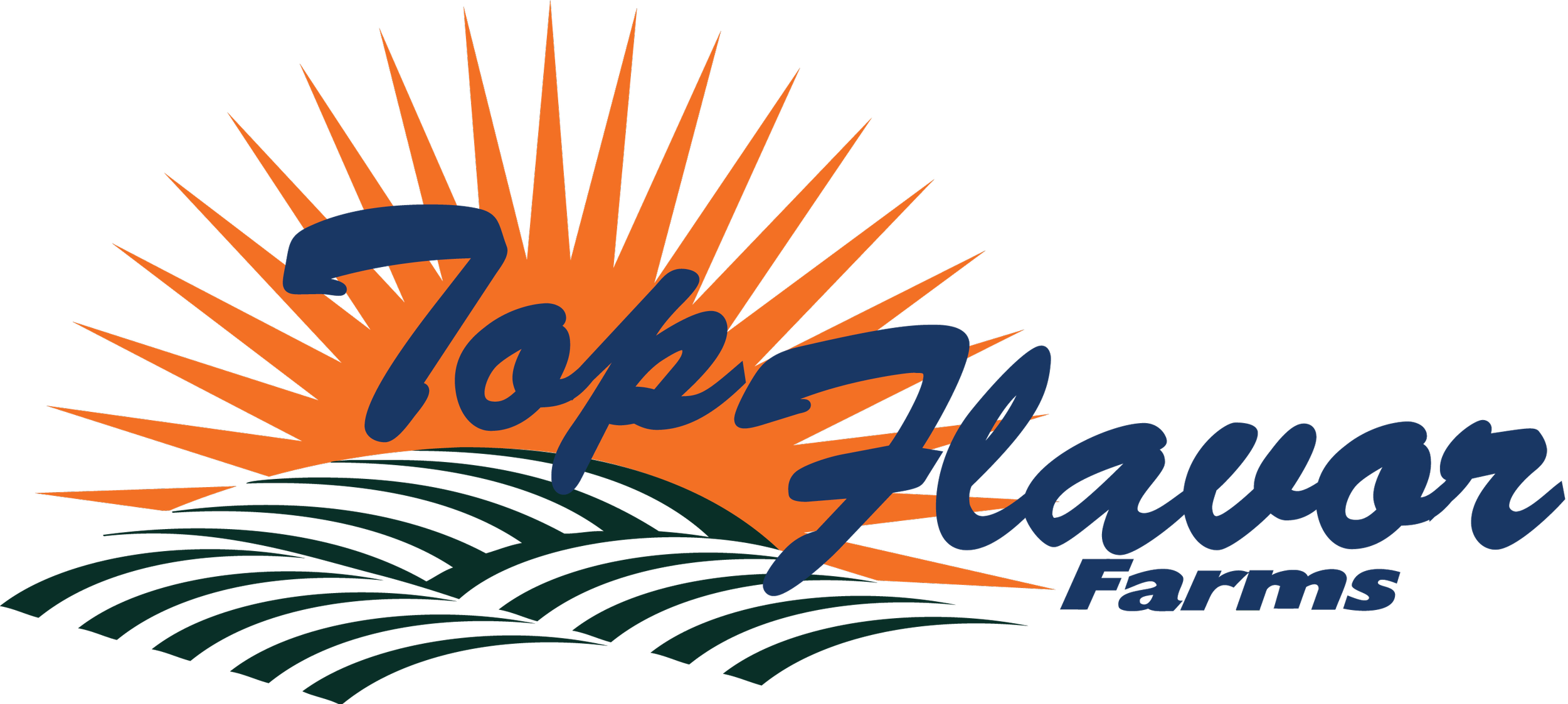 TopFlavor_Logo__new (2).png