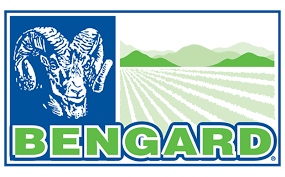Bengard.png