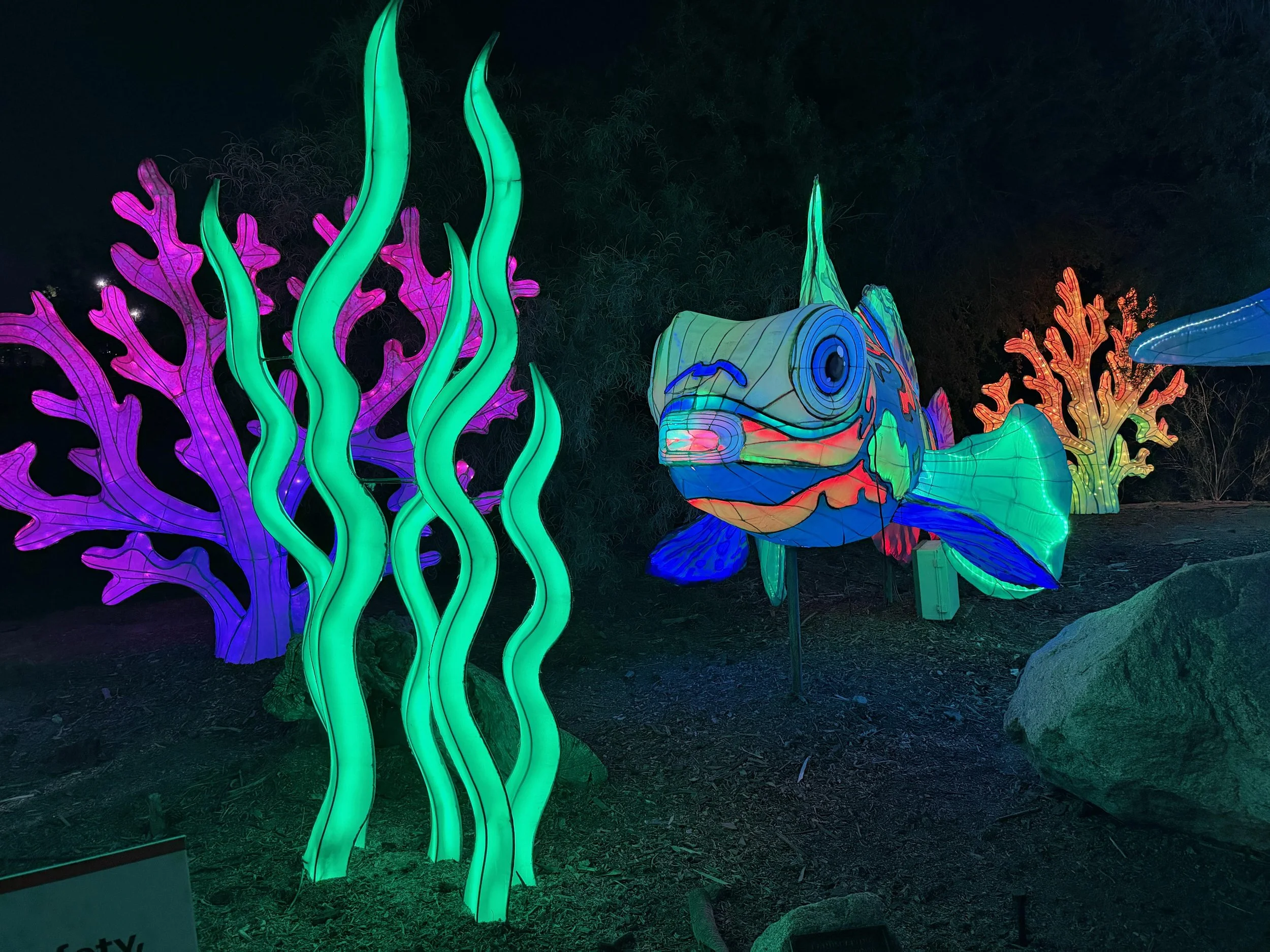 Phoenix Zoo
