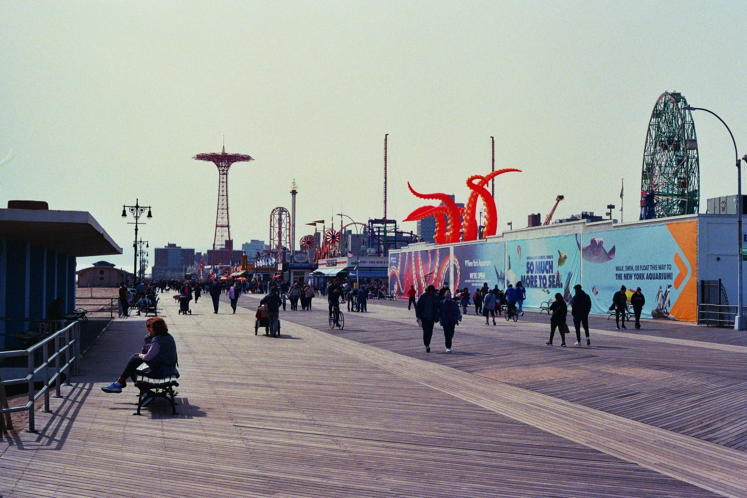 _16_00343.JPEG