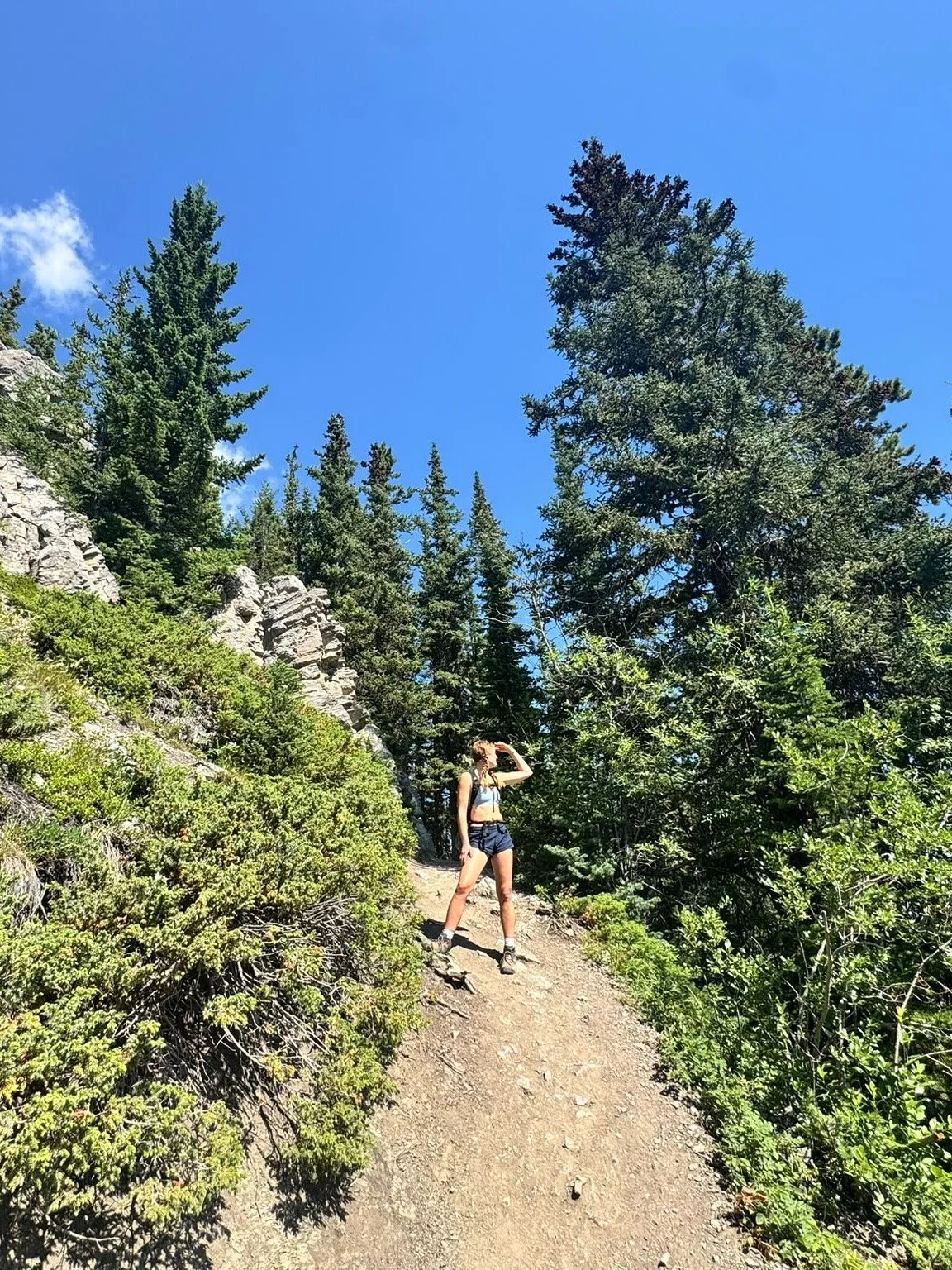 A woman in hiking gear stands on a mountain trail surrounded by tall green trees and rocky terrain under a clear blue sky.