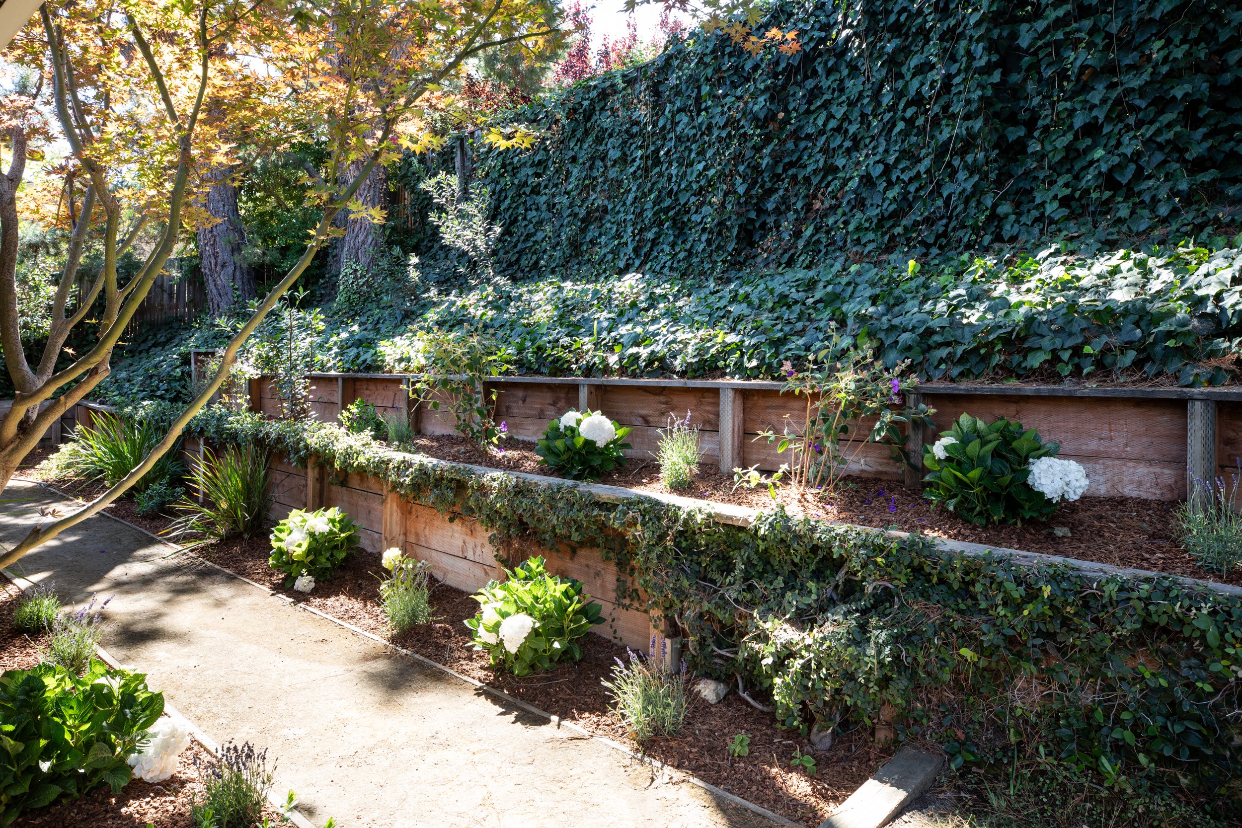 30-Kent_Matt_Anello-0301-MLS.jpg