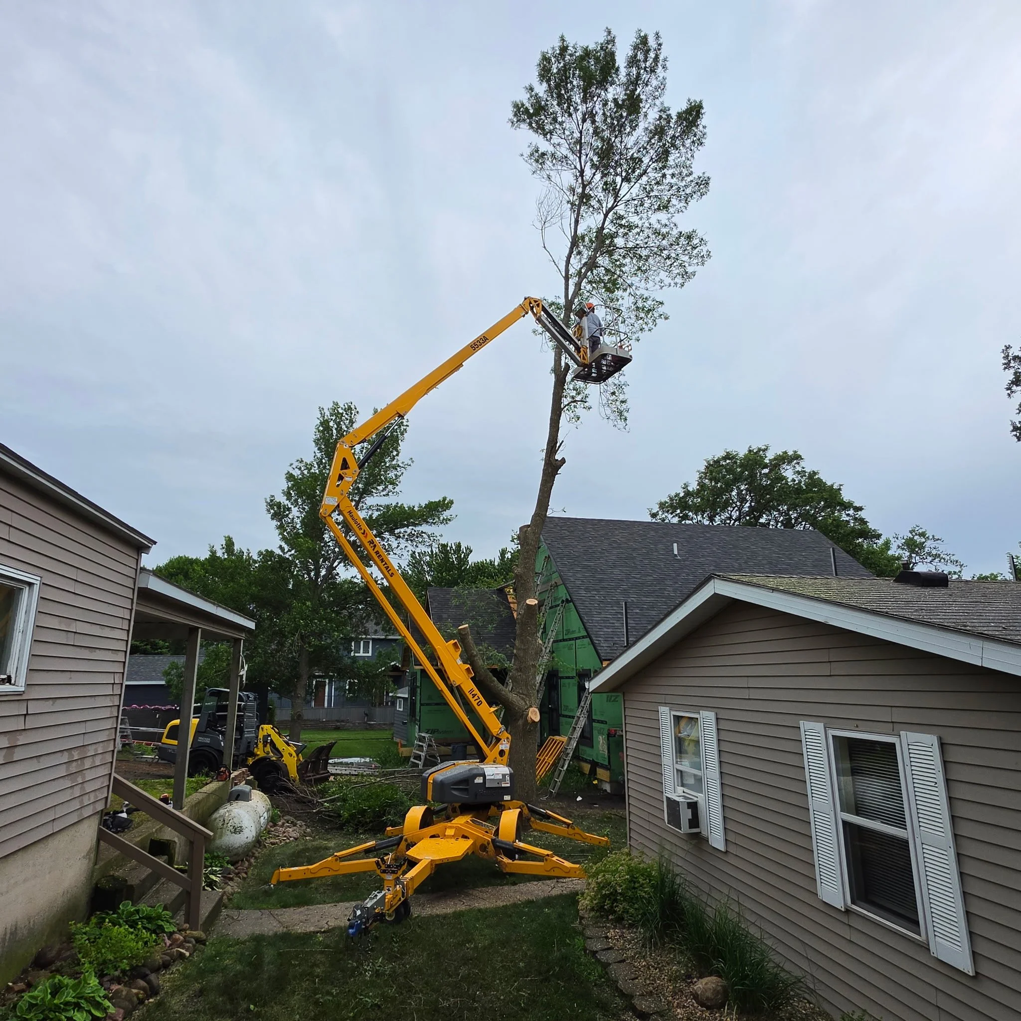 Tree Removal