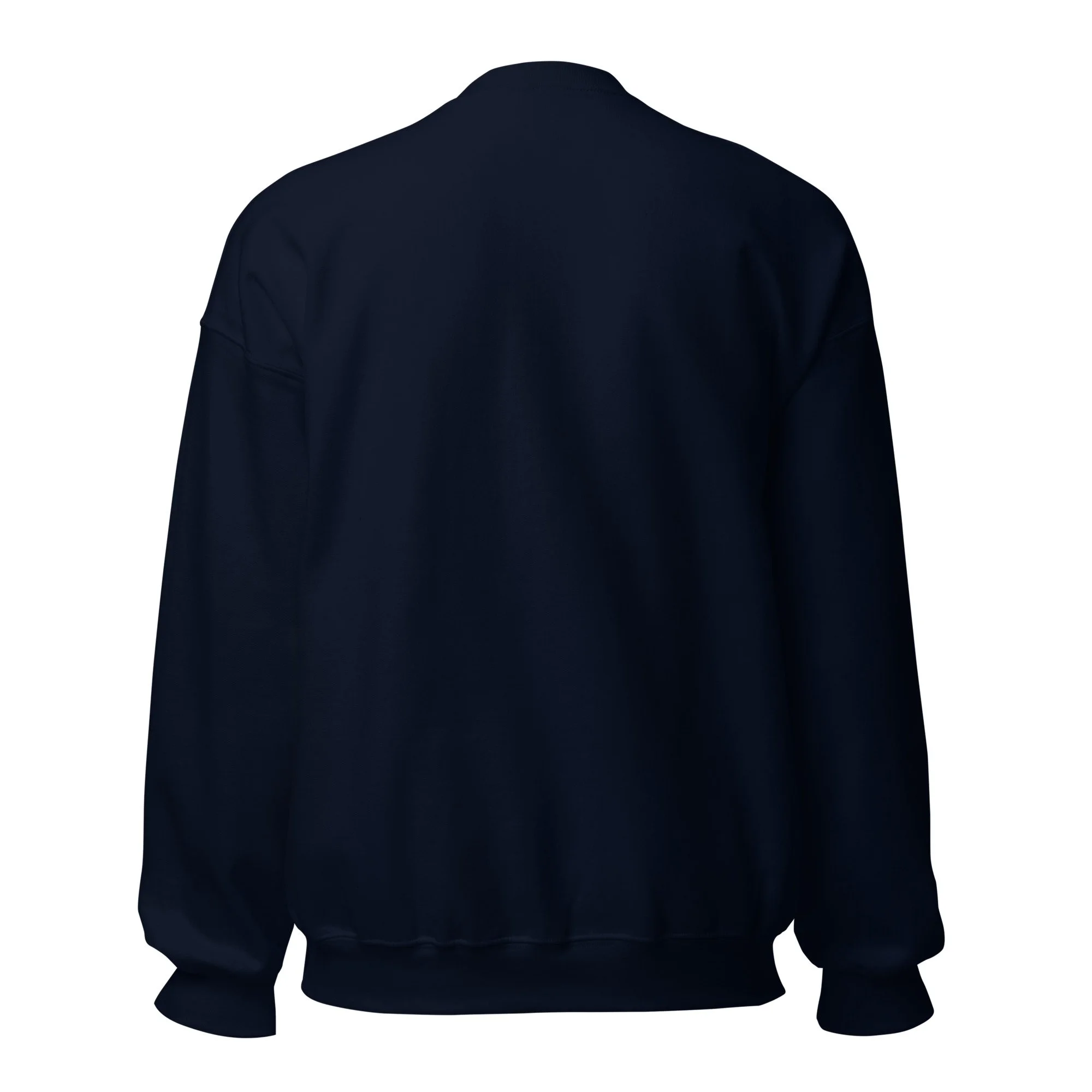 Homebody Social Club Embroidered Crewneck in navy, back view