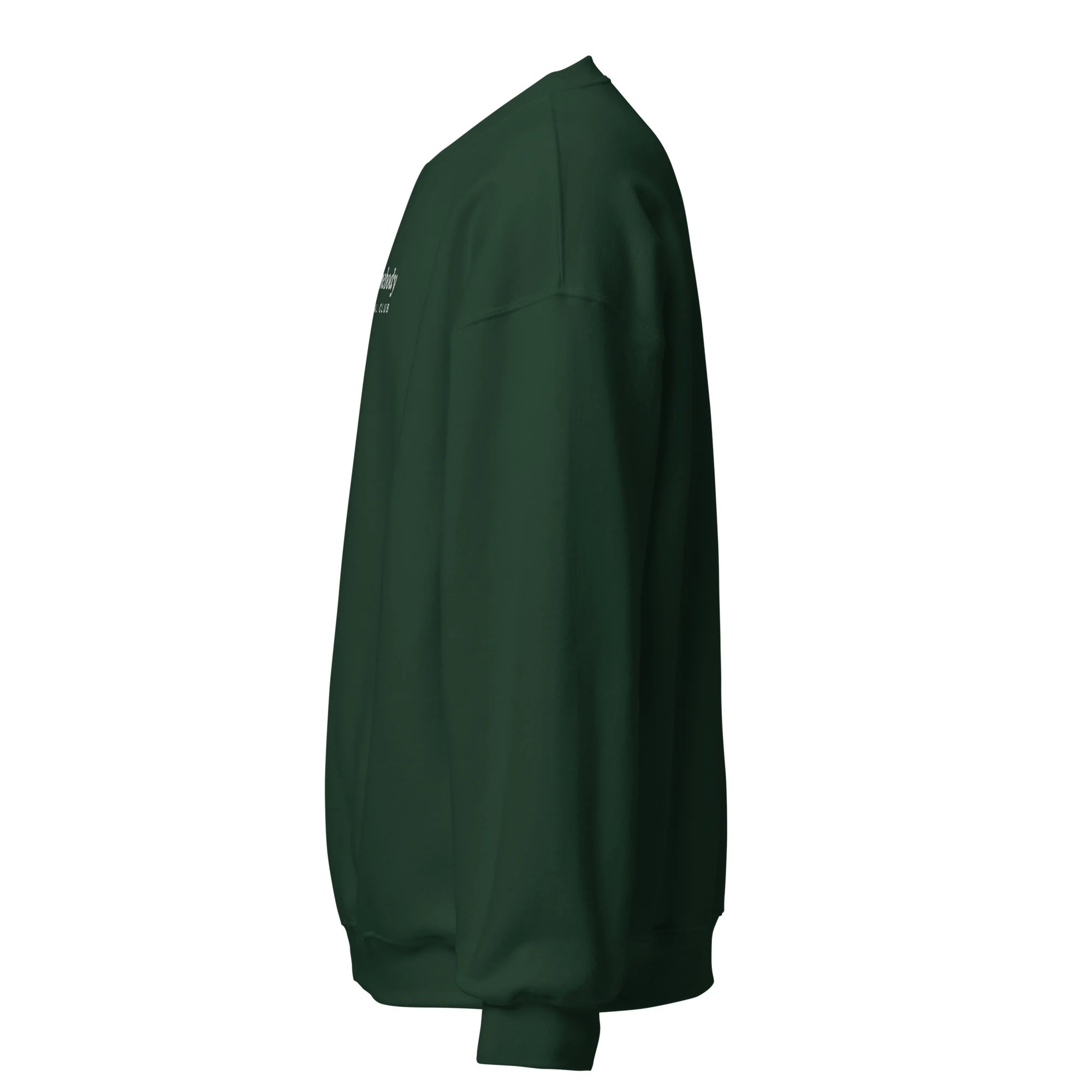 Homebody Social Club Embroidered Crewneck in forest green, left view