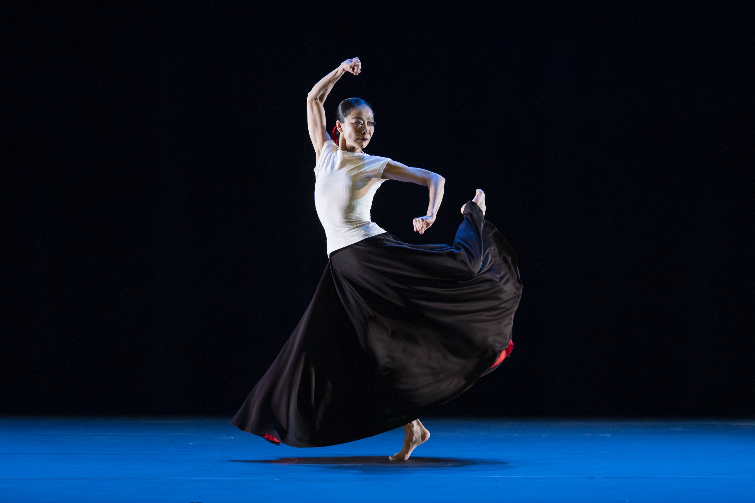 Martha Graham Dance Company