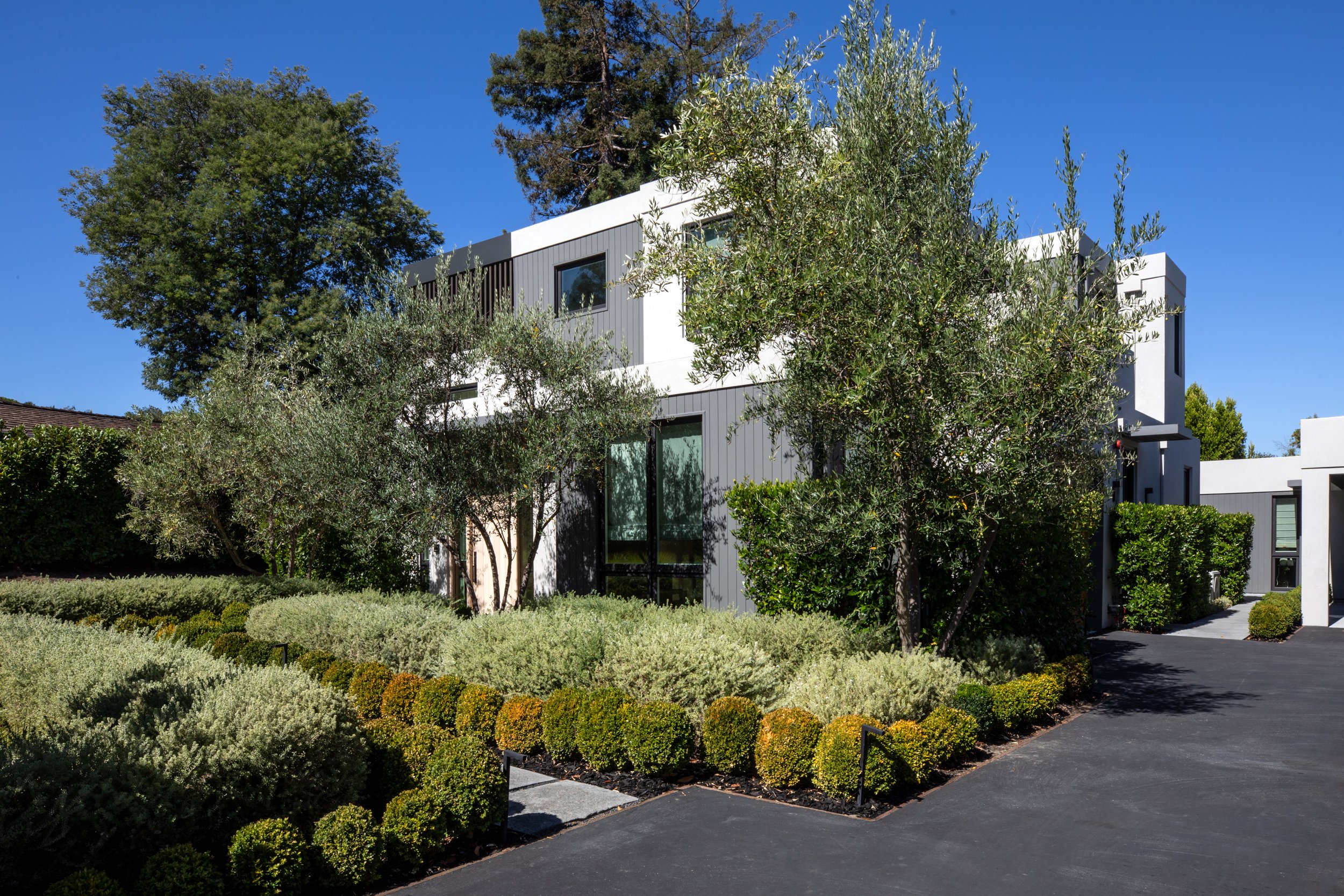 2-Camino_Matt_Anello-8655-MLS.jpg