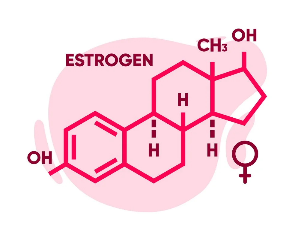 Estrogen