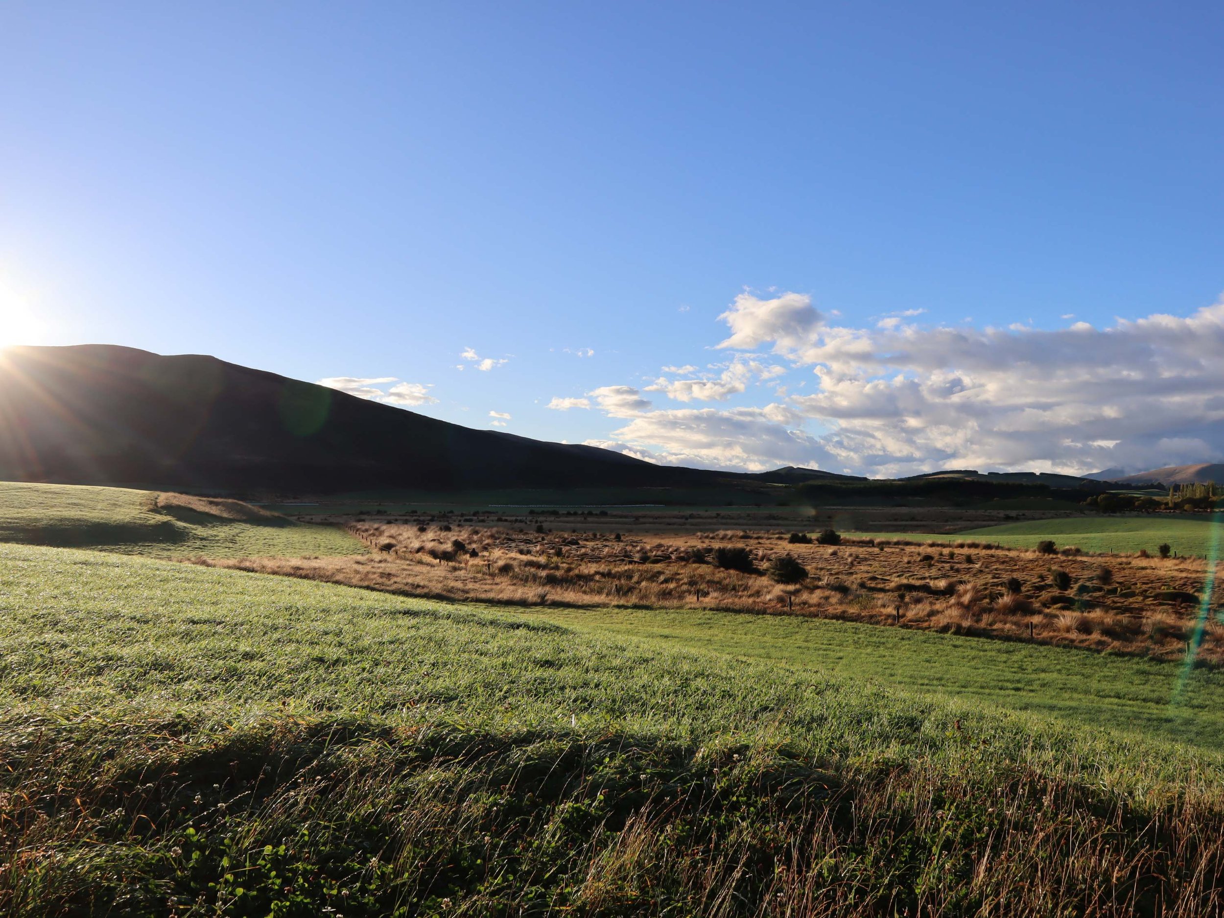 Sunset over rolling green hills with patches of purple and brown grass, under a blue sky with scattered white clouds.