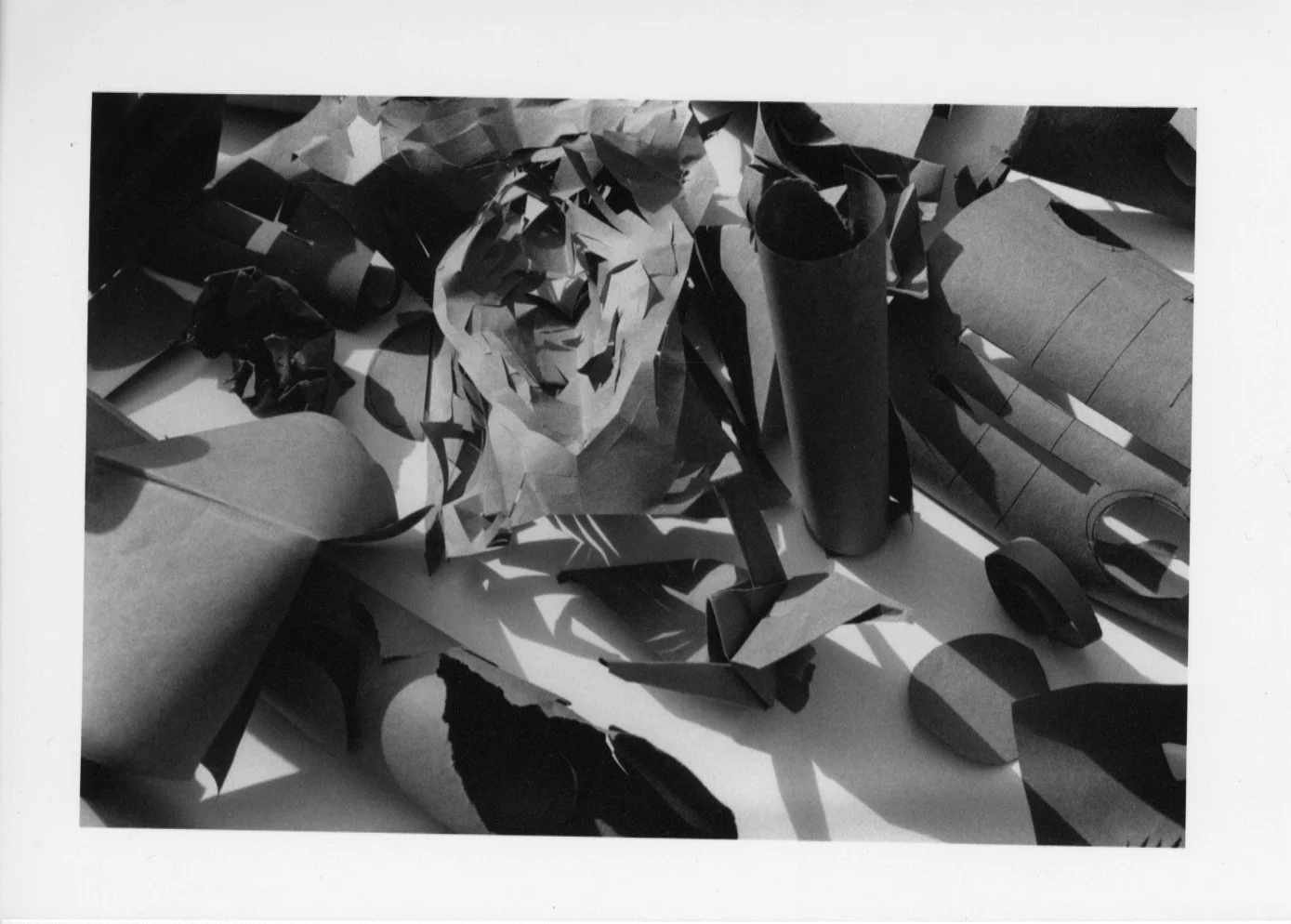 Paper Abstraction, silver gelatin print, 4"X6", 2024