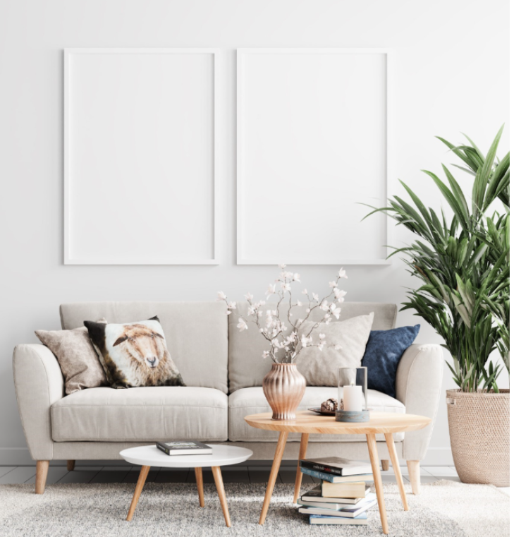 Living room with a beige sofa, decorative pillows, a large green potted plant, and two white framed blank canvases on the wall.