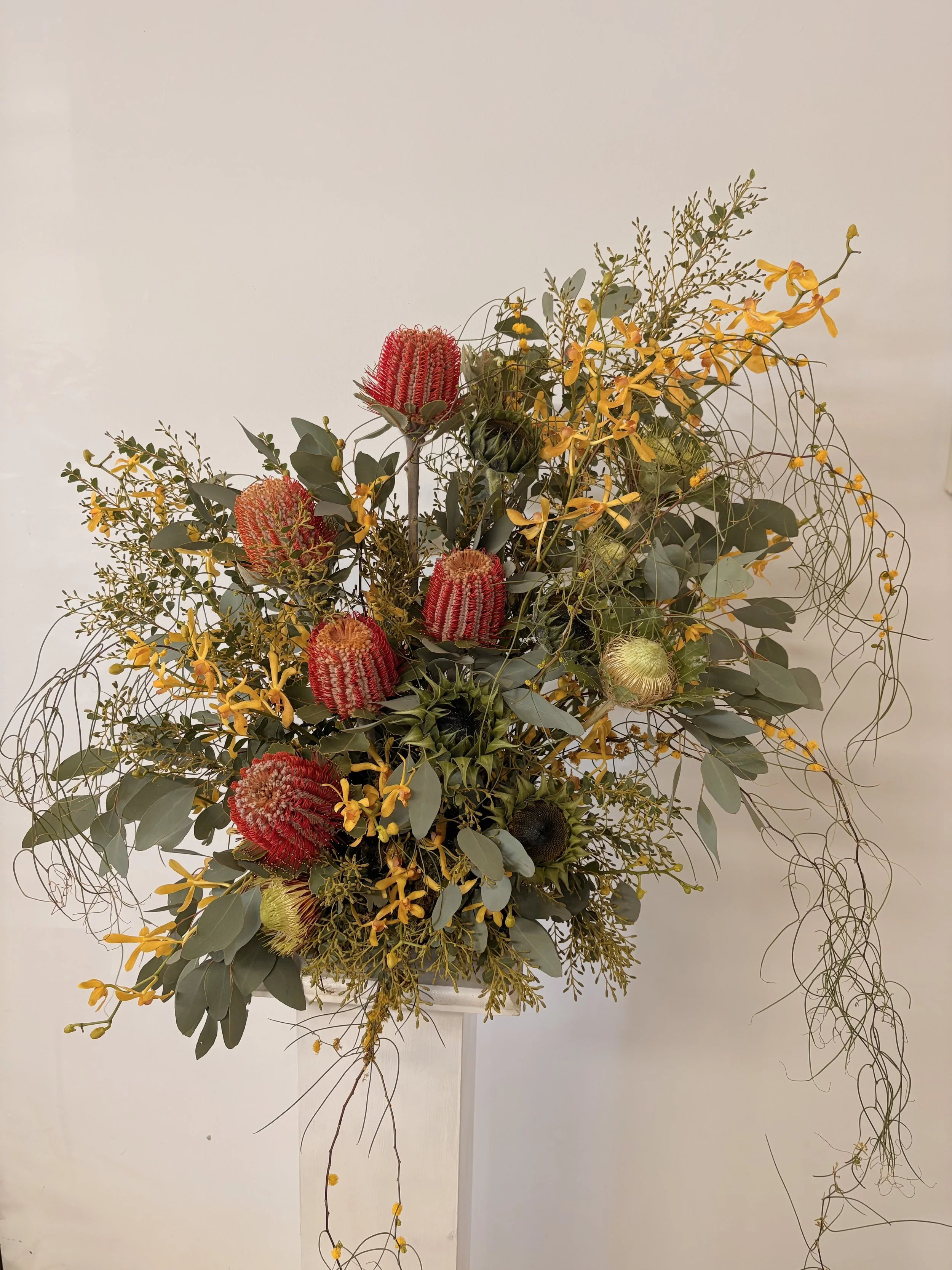Front-Facing Arrangement