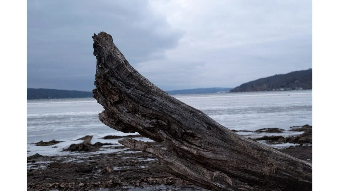 Log_Lake.jpg