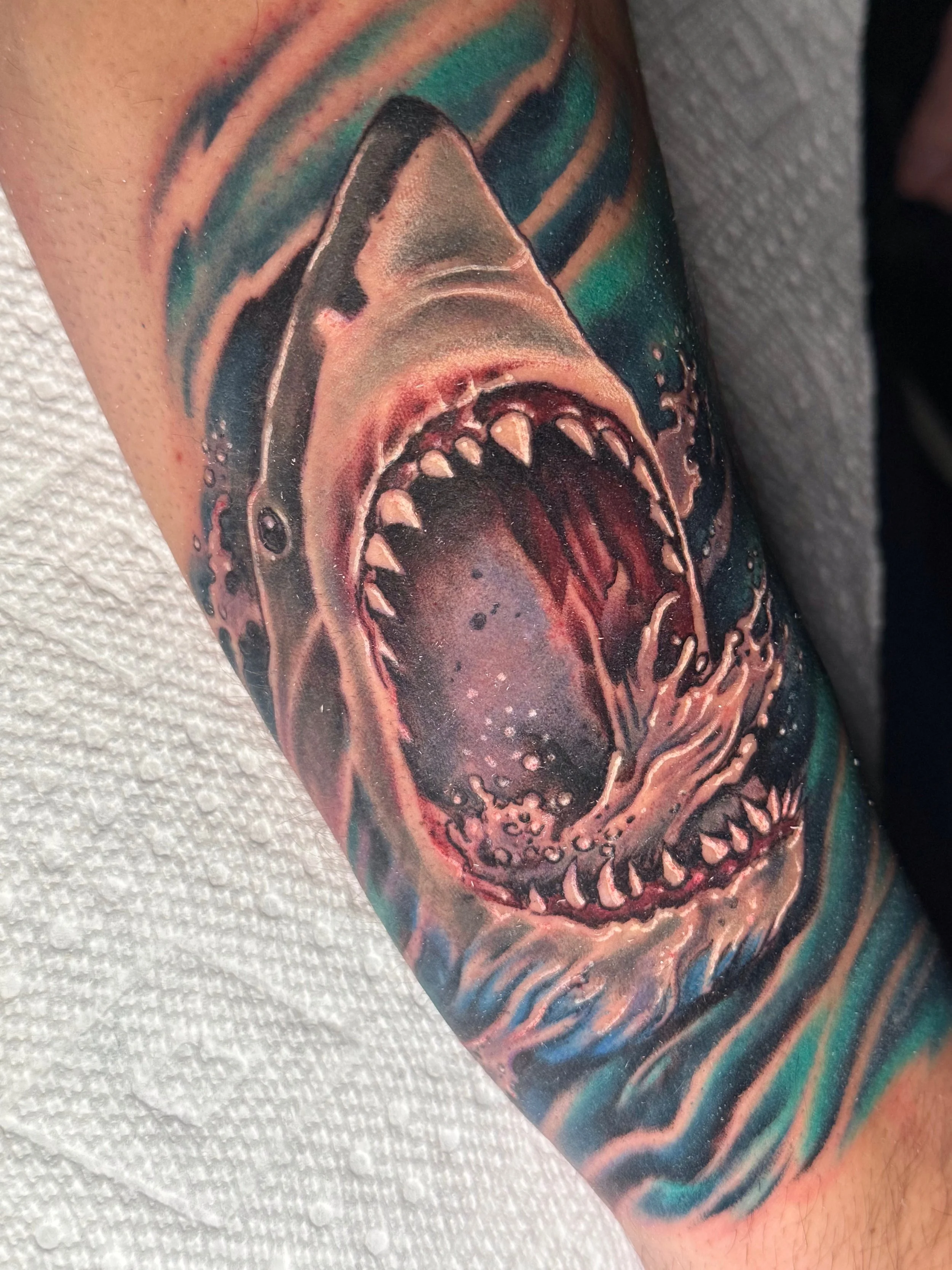 A tattoo of an aggressive shark with its mouth open, showing sharp teeth, on a person's arm with vibrant, colorful background shading.