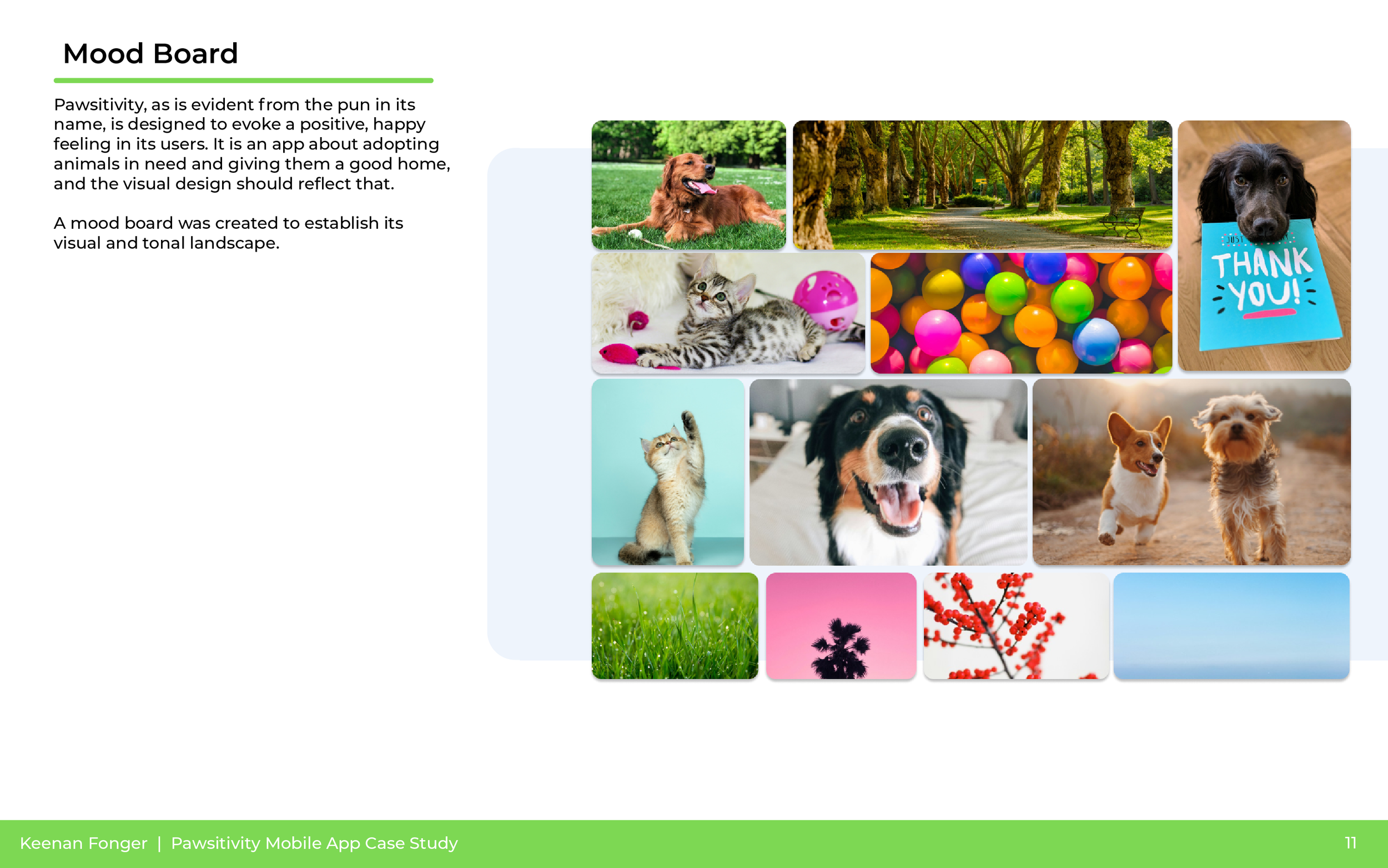 A digital mood board featuring images of a golden retriever lying on grass, a row of trees in a park, a black dog holding a thank you note in its mouth, a kitten beside colorful balls, a cat reaching up, a dog running on a trail, a pink sky with a si