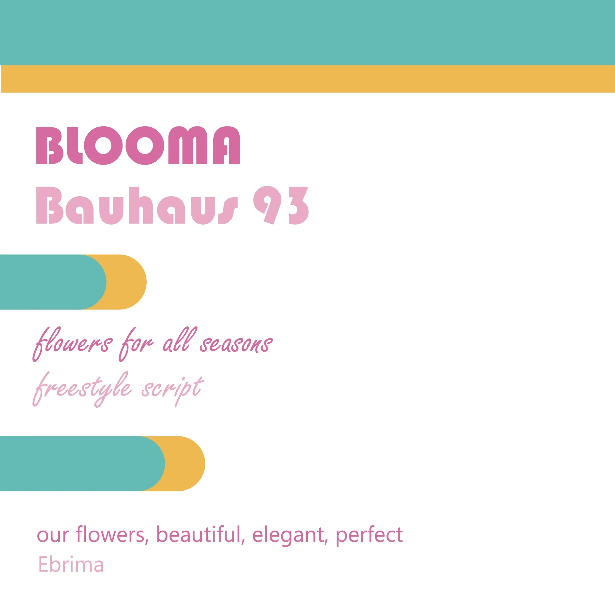 Colorful graphic with horizontal blocks in teal, gold, and white. Pink text reads 'Bloom', 'Bauhaus 93', and 'flowers for all seasons', along with additional pastel pink text about flowers.