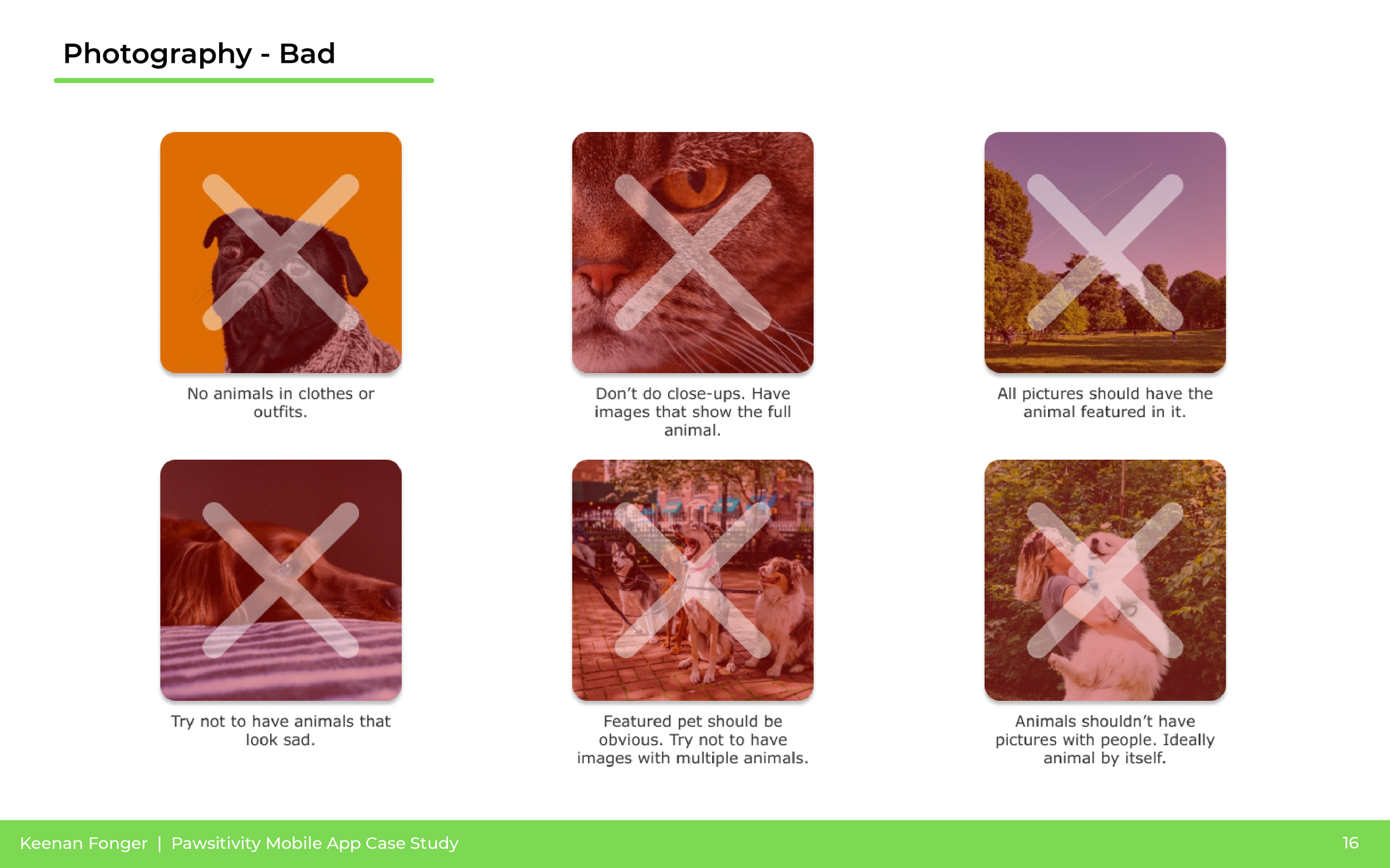 A slide from a presentation about photography, showing three images with crosses over them, indicating bad photography practices. The first image is of a dog with no clothes or outfits, the second is a close-up of a cat's face with a full view of the