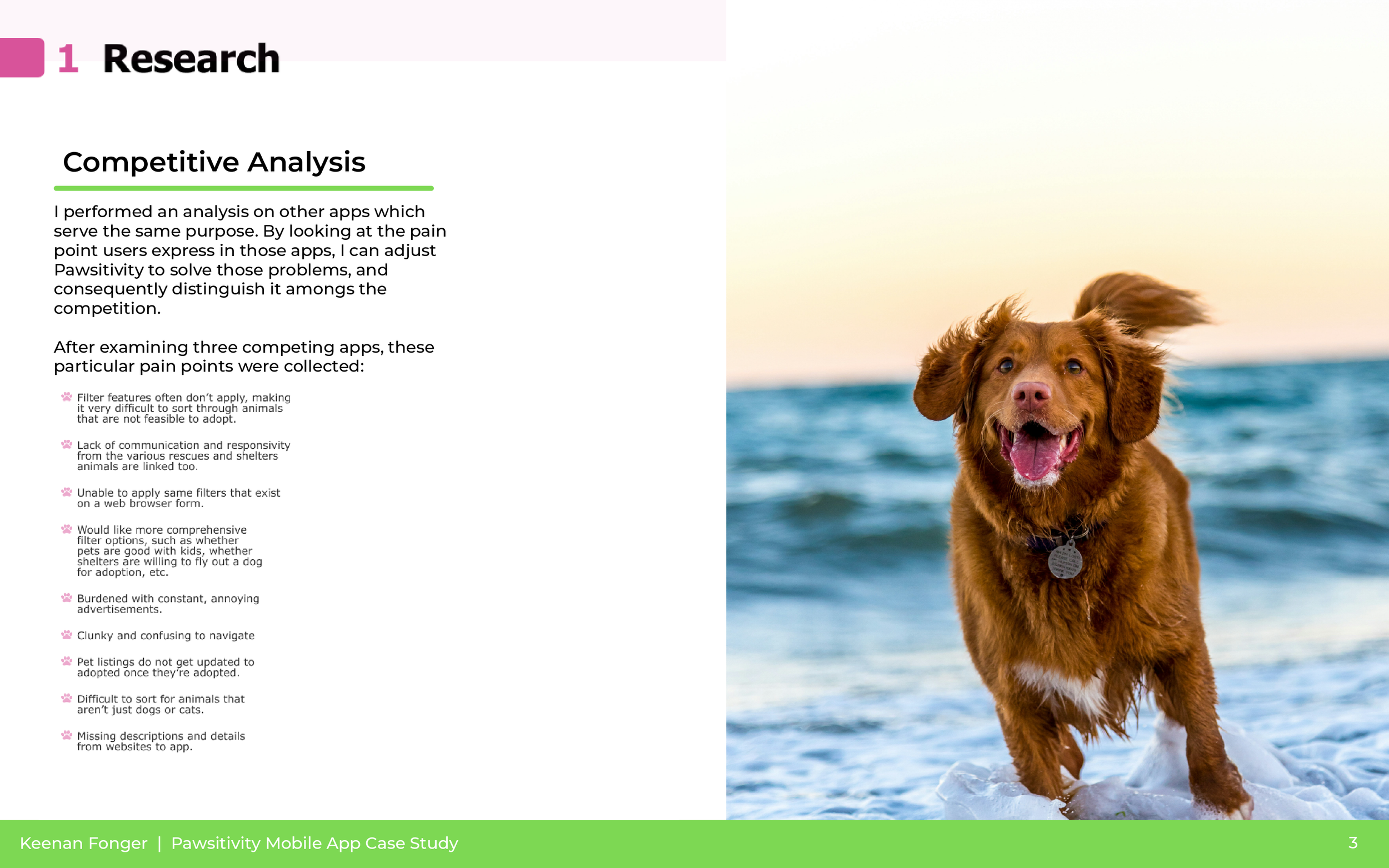 A happy brown dog with a white chest and floppy ears standing on the beach near the water, with sunset sky in the background.