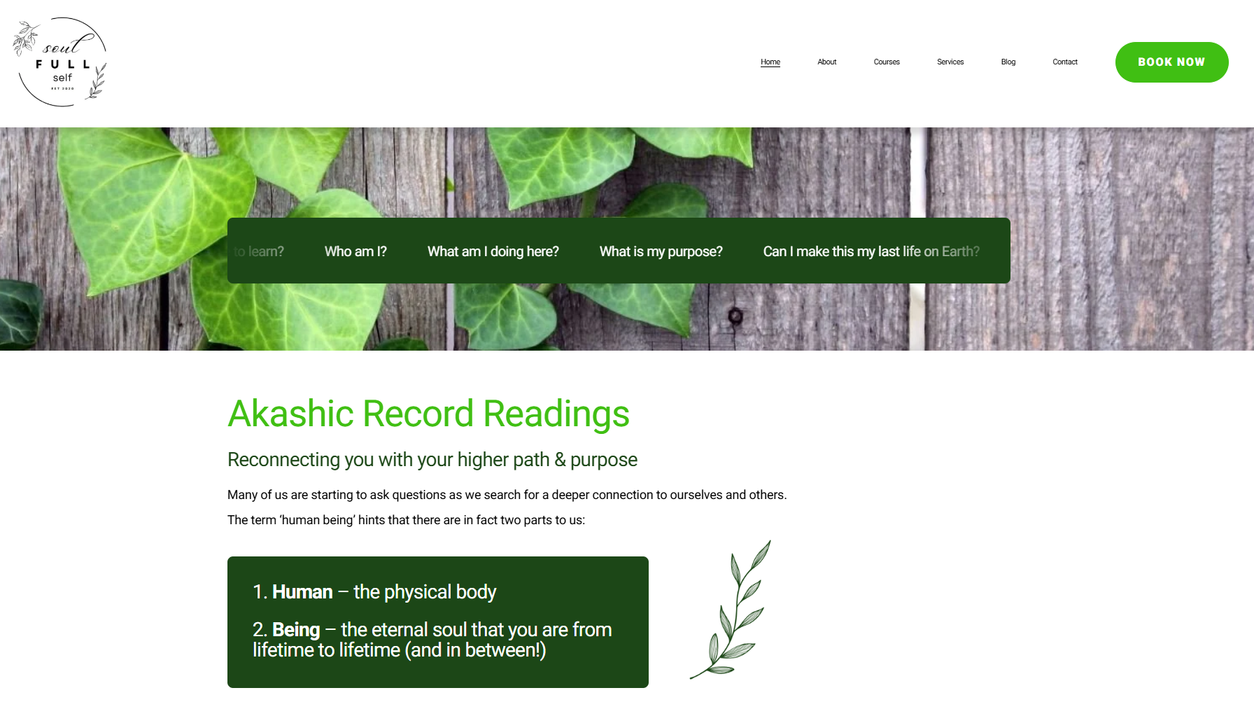 Squarespace web design for spiritual businesses | Easy-to-update website design | Maintenance-free website setup | Web design for reiki practitioners | Tarot reader website design services | Herbalist website builder setup