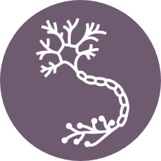 Somatic &amp; nervous system-based