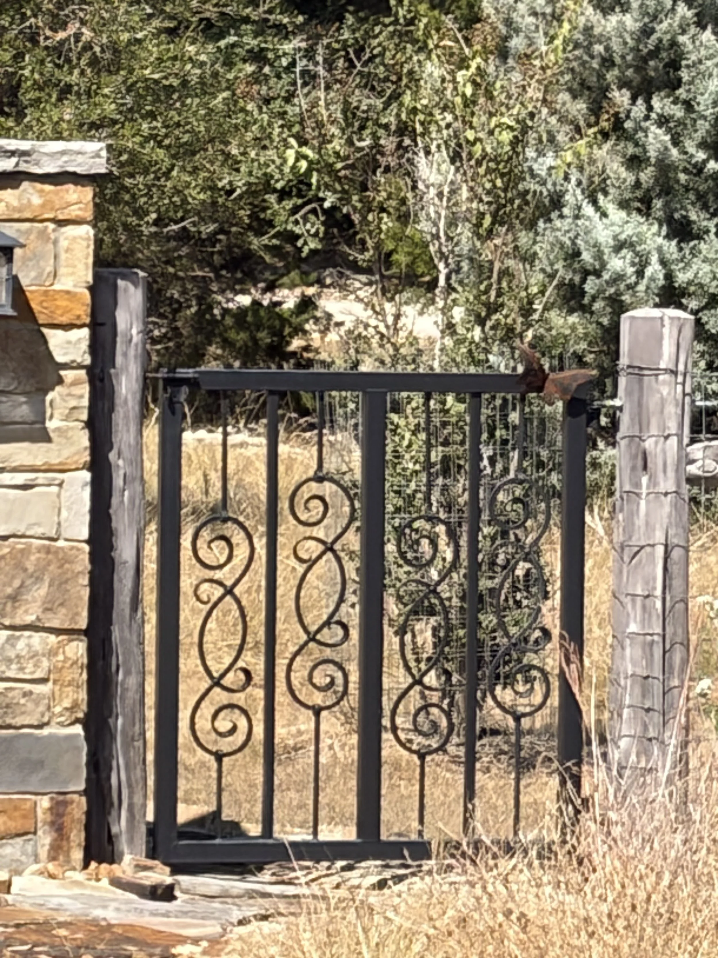 A black wrought iron gate with decorative scrollwork, supported by stone and wood posts, leading to a natural outdoor area with trees and dry grass.