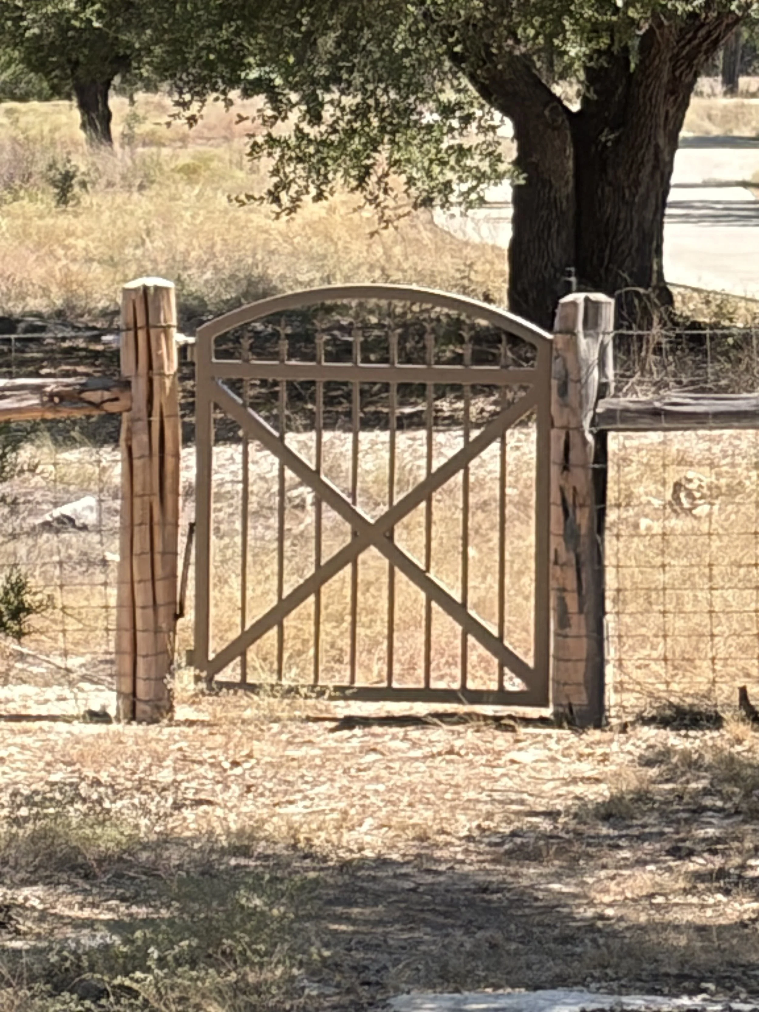 A metal gate with crossbars in front of a dirt pathway, leading to a large tree with a thick trunk and green leaves, and a background of dry grass and other trees.