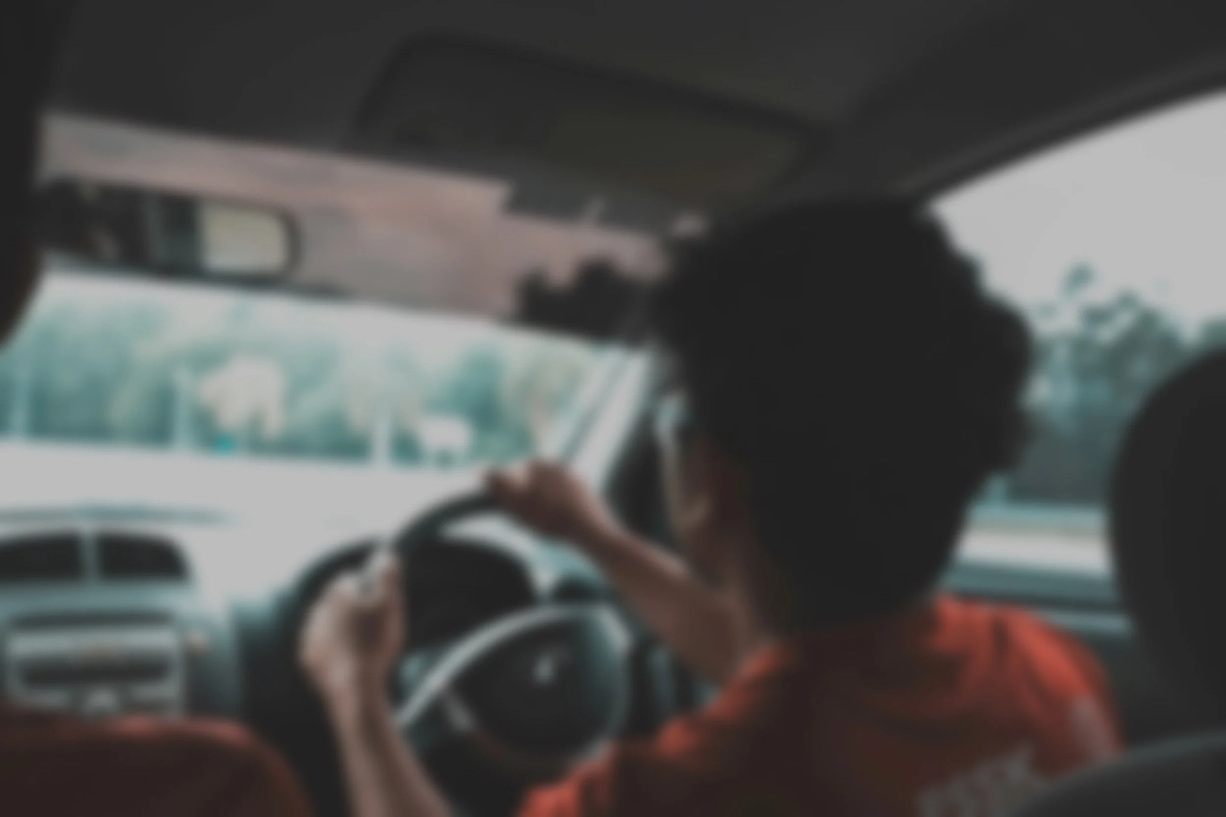 A person driving a vehicle, partially visible, with trees and cloudy sky seen through the windshield.