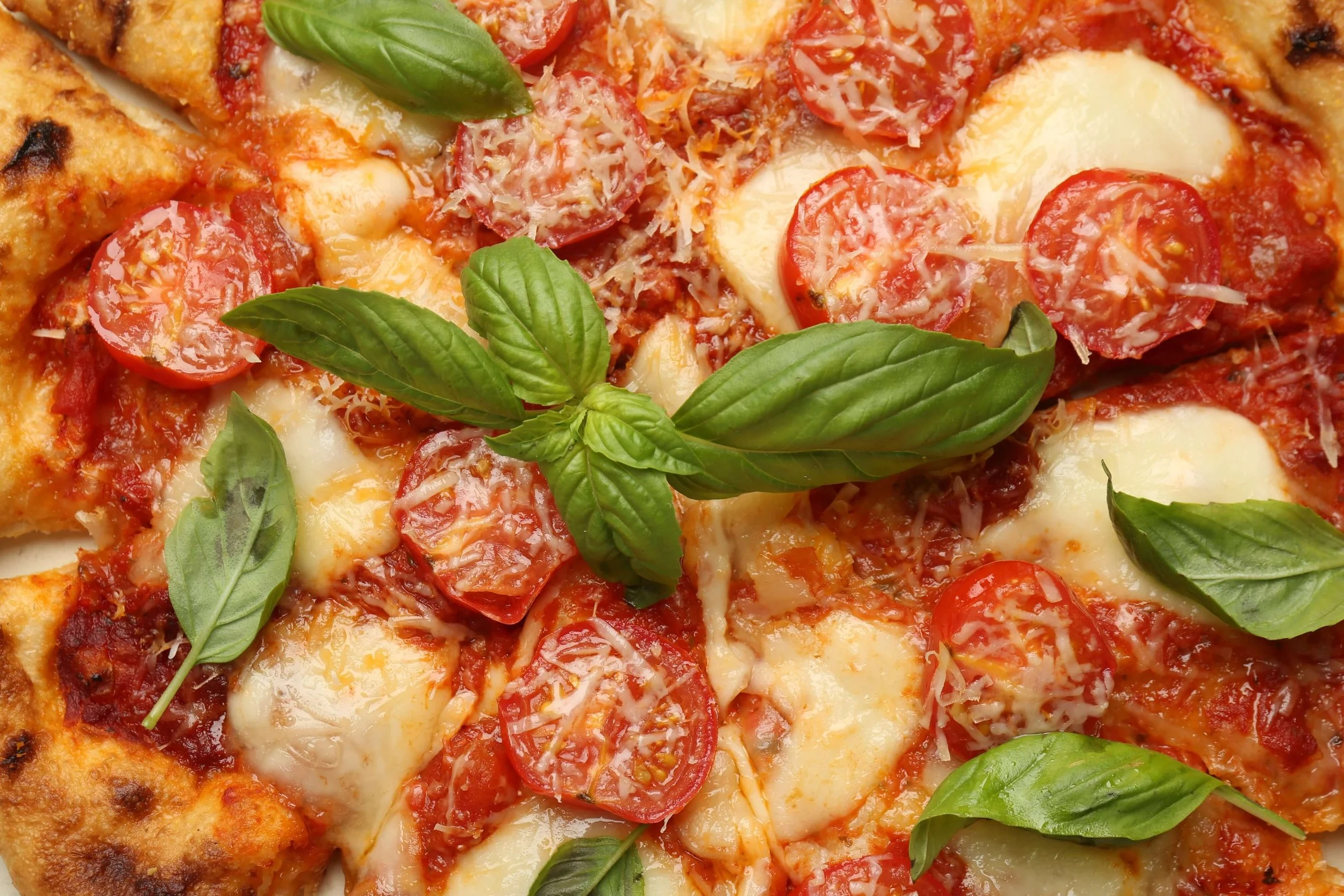 Close-up of a pizza topped with cherry tomatoes, shredded cheese, basil leaves, and melted cheese.