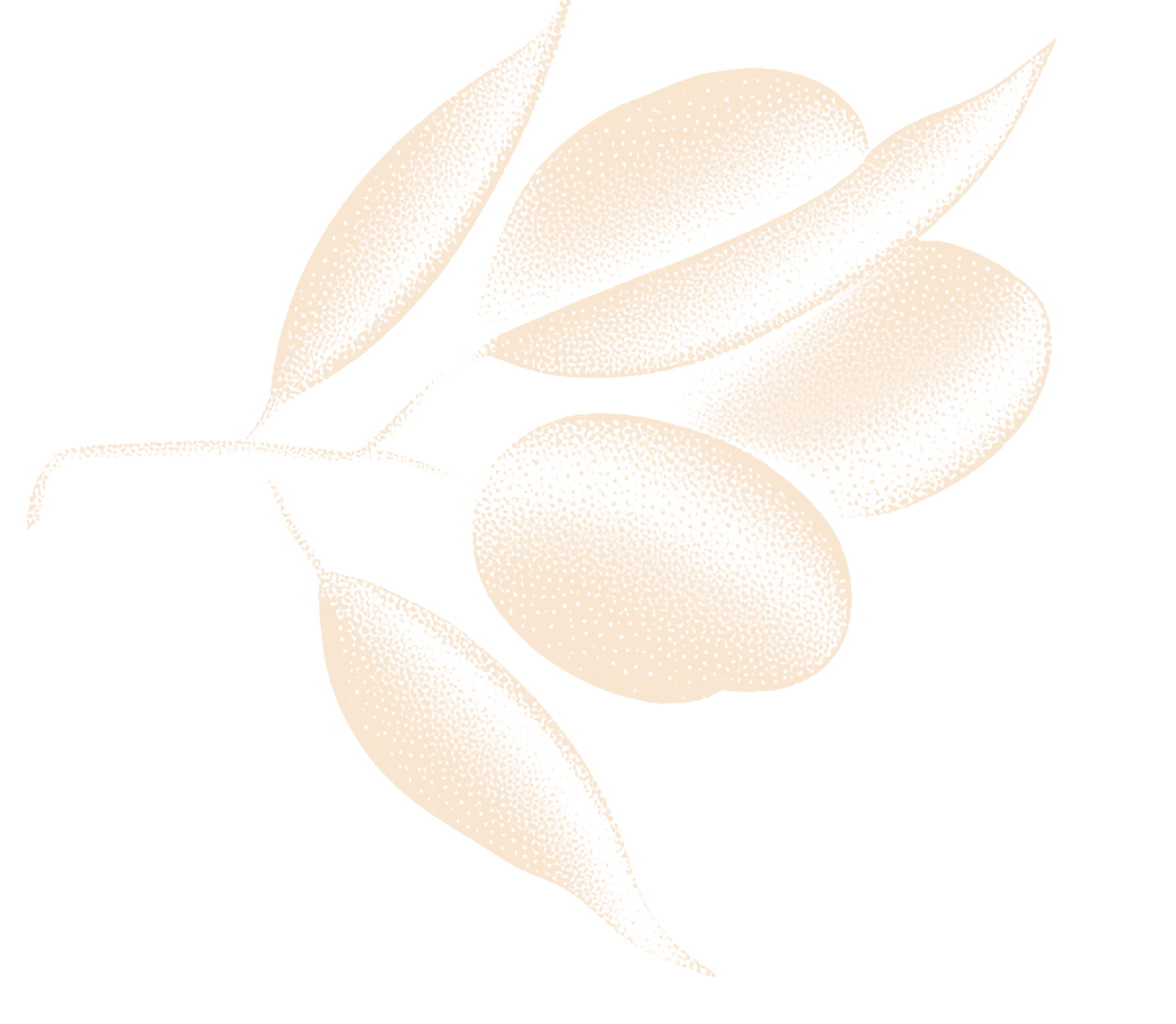 Stylized illustration of a white rose on a black background.