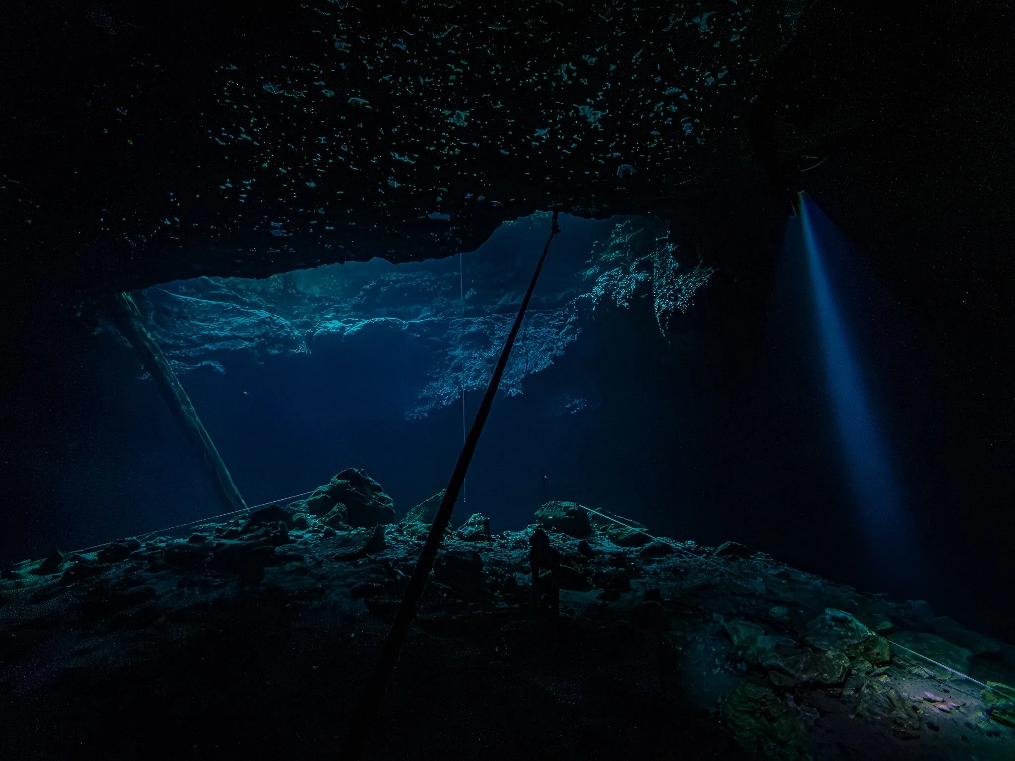When Kevin said he had an extra day to do a second day of diving, I couldn&rsquo;t have been more delighted - he wanted to see one of our more advanced/off-the-beaten path caverns, so we settled on Buford or Paradise. Buford was browned out, so off t