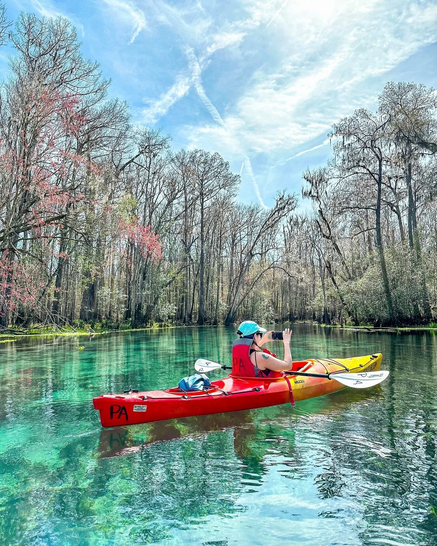 Manatees can&rsquo;t make it up all the spring-fed rivers in Florida. Rainbow River and the Silver River, for instance, are blocked by dams - while local manatee populations exist, it&rsquo;s hard for manatees to make it all the way up from the Gulf 