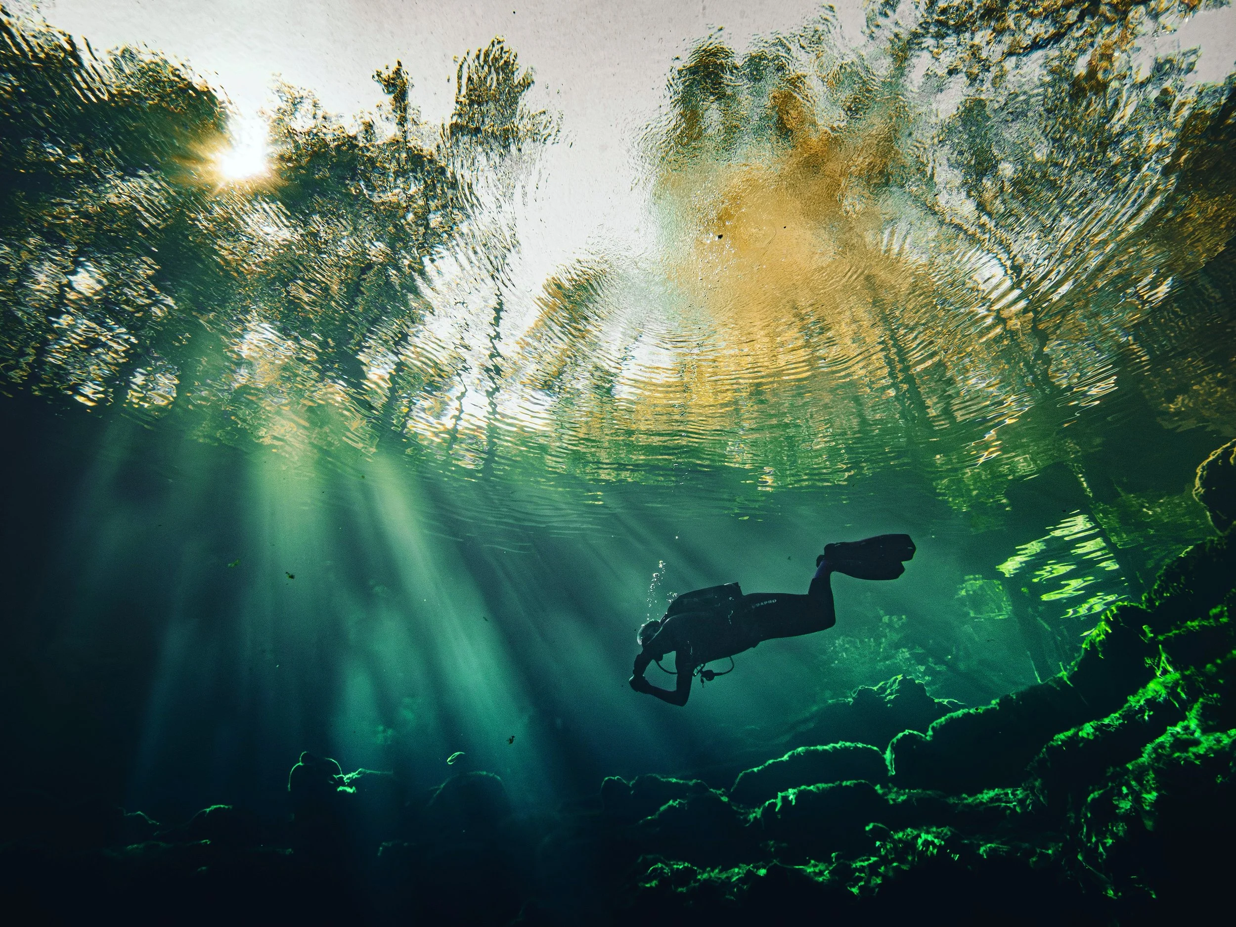 An underwater scuba diver swimming near rocks and underwater vegetation, with sunlight filtering through the water surface, on a quiet day at Troy Springs State Park.