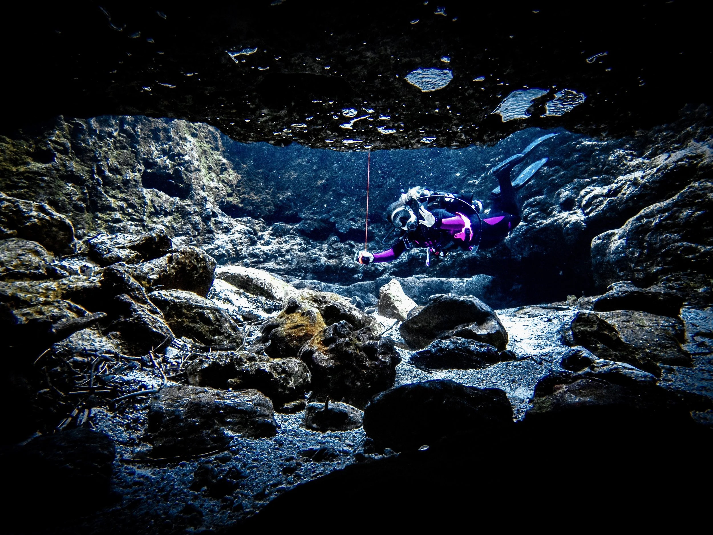 Ginnie Springs (Guided Dive) 