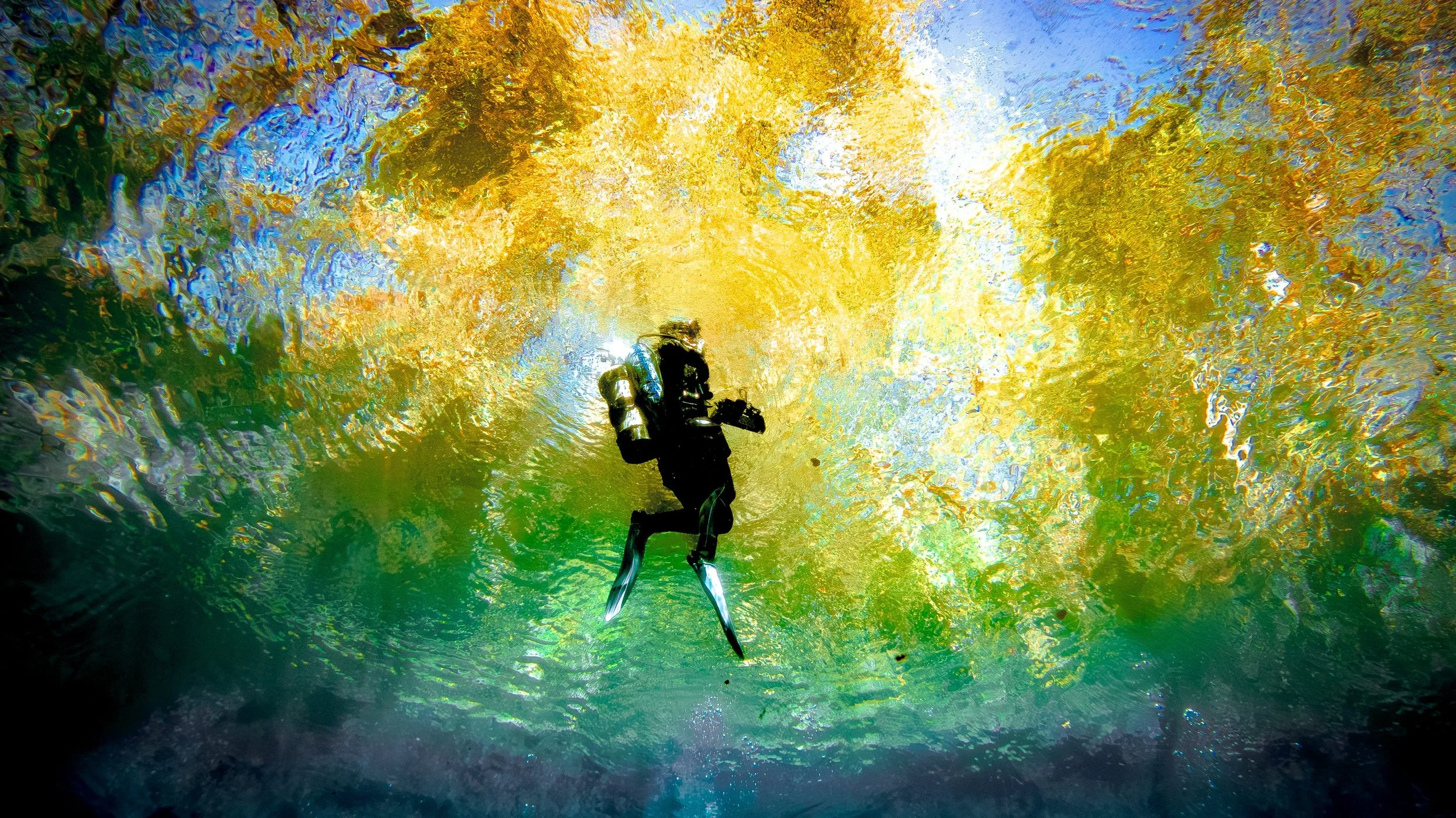 Silhouetted scuba diver swimming underwater toward the sunlit surface of Orange Grove Sink