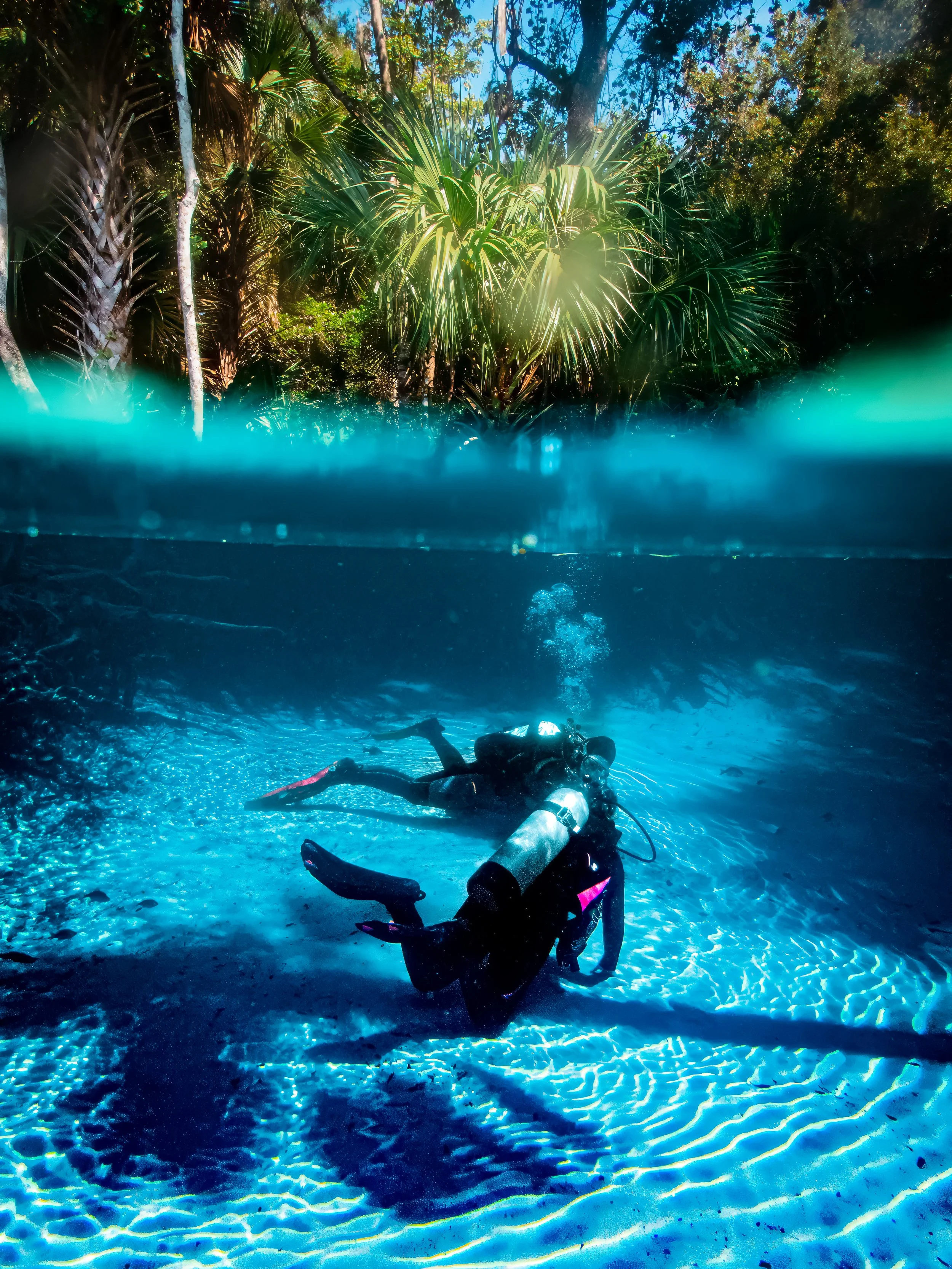 Guided Recreational Dives