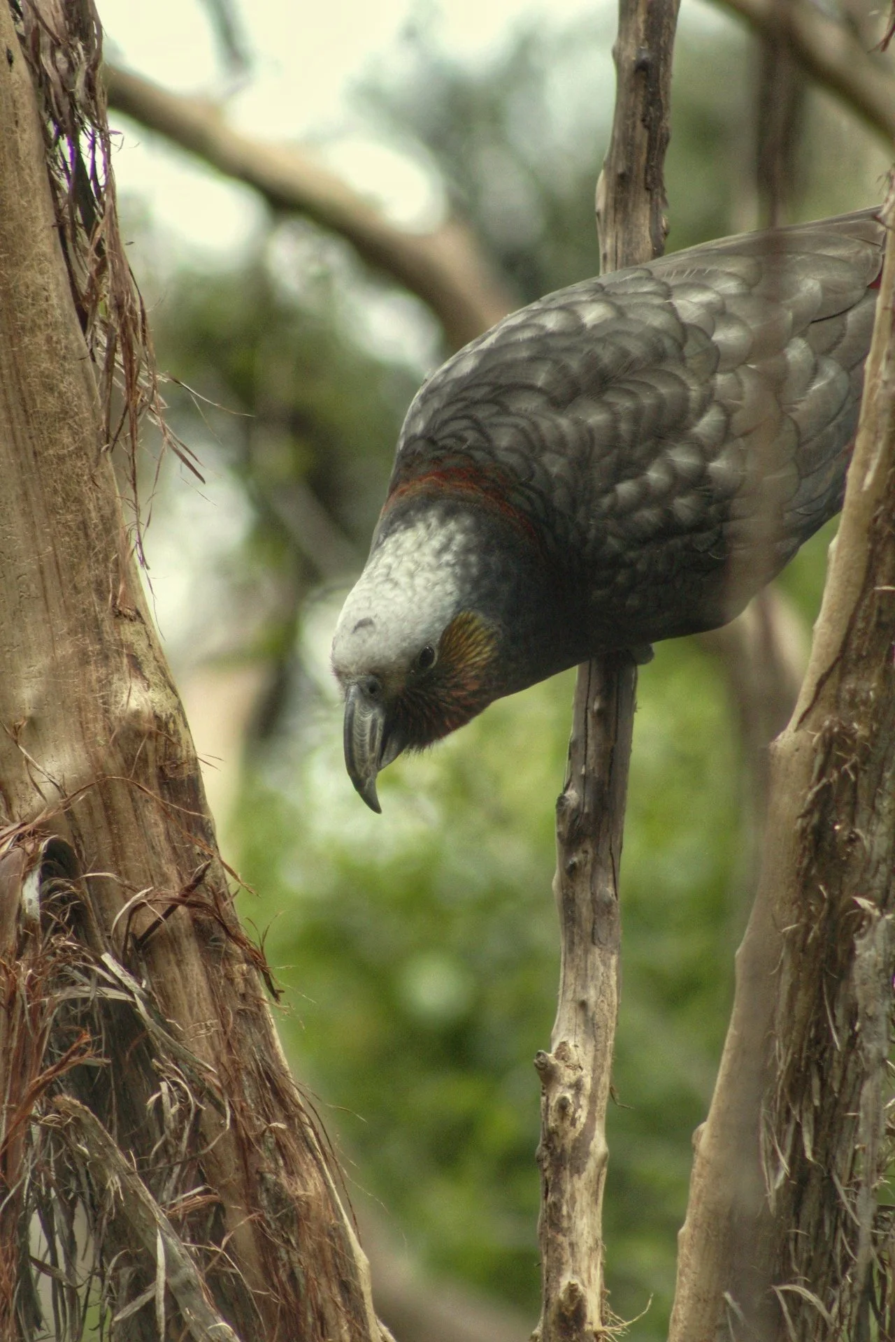 20191007123255__MG_3066-01.jpeg