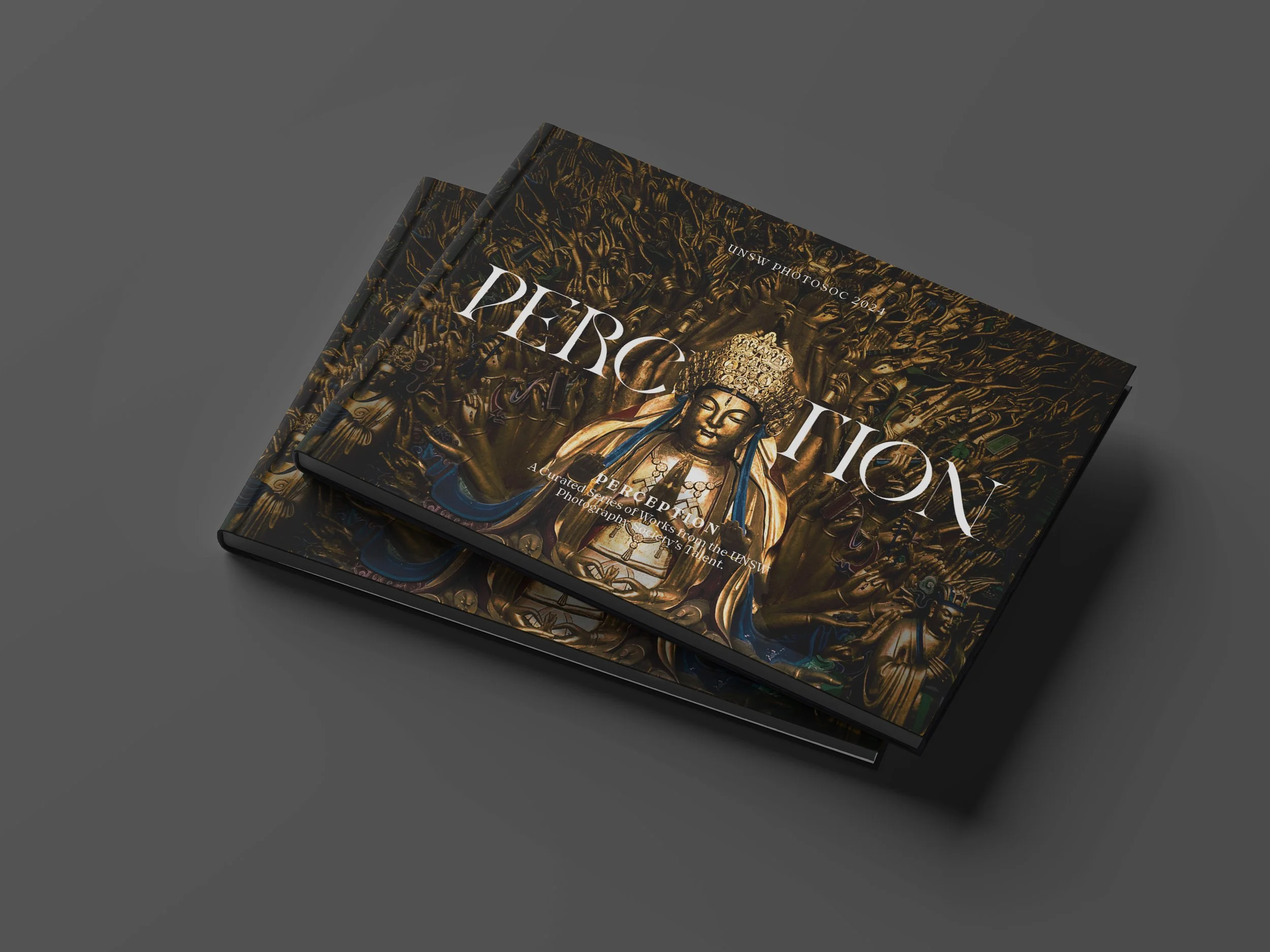 unsw-photography-society-photobook-cover-design-perspective-view-2024
