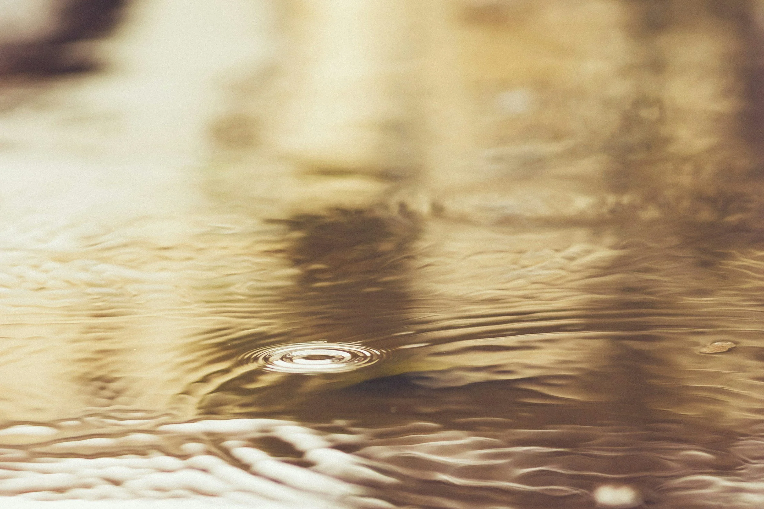 A close-up of water with ripples and a single Raindrop creating a ripple effect on the surface of the water.