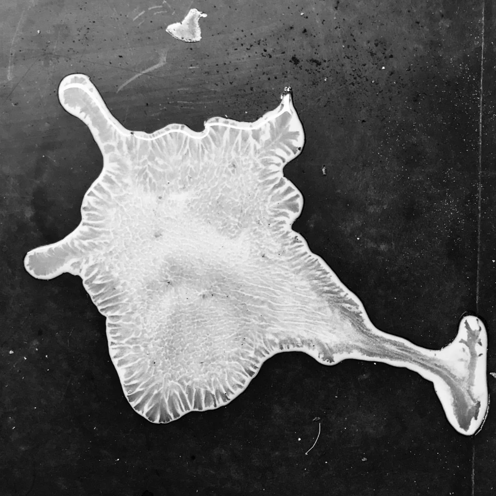 159C767A-AC22-4379-812A-C2E966533014_1_105_c.jpeg