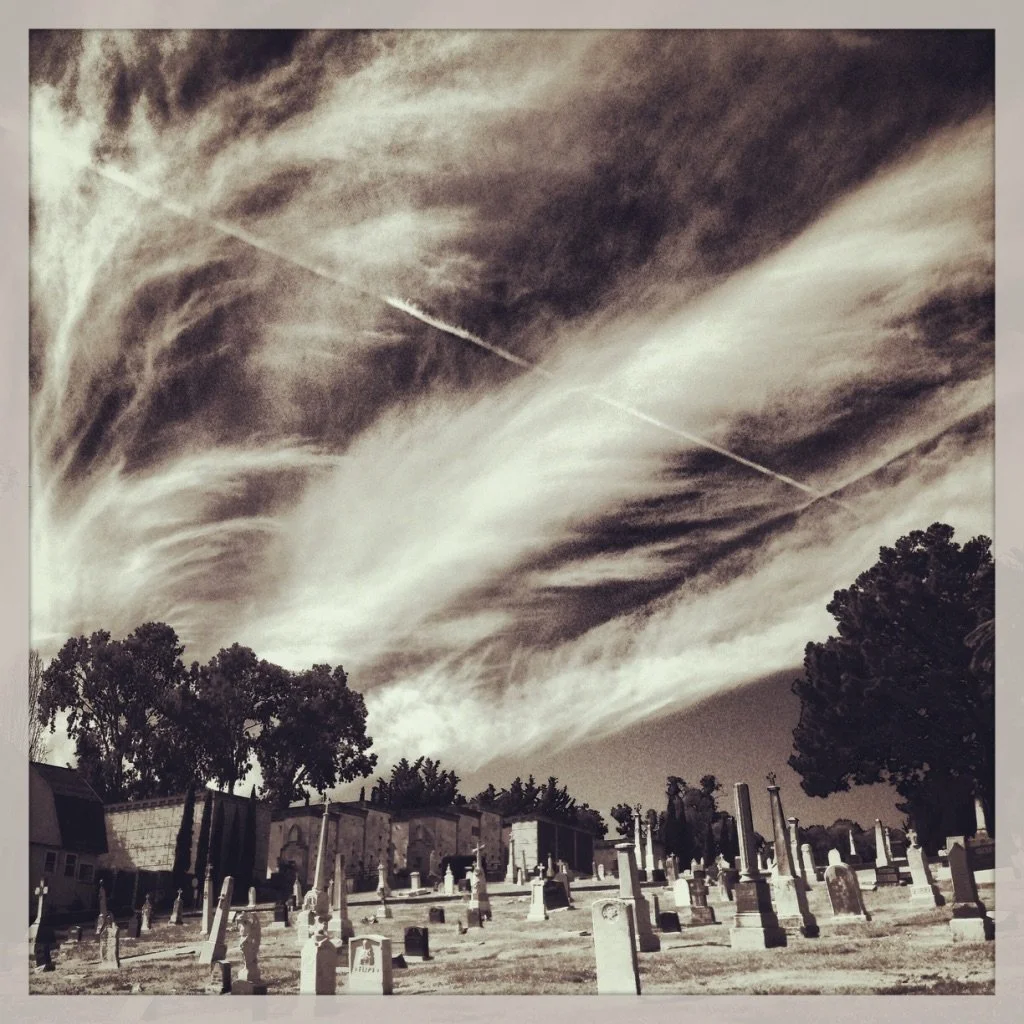EF844085-0D0B-425C-BB78-A271B13B5A59_1_105_c.jpeg