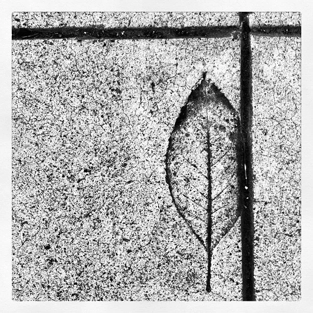 ED19F398-AA9C-41A6-A780-011601D2DBD7_1_105_c.jpeg