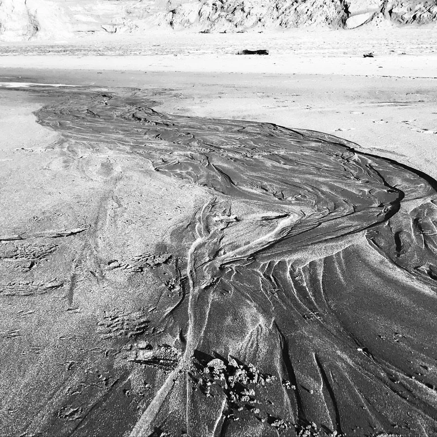 14EAB70C-B318-452D-8458-7B6BE036701D_1_105_c.jpeg